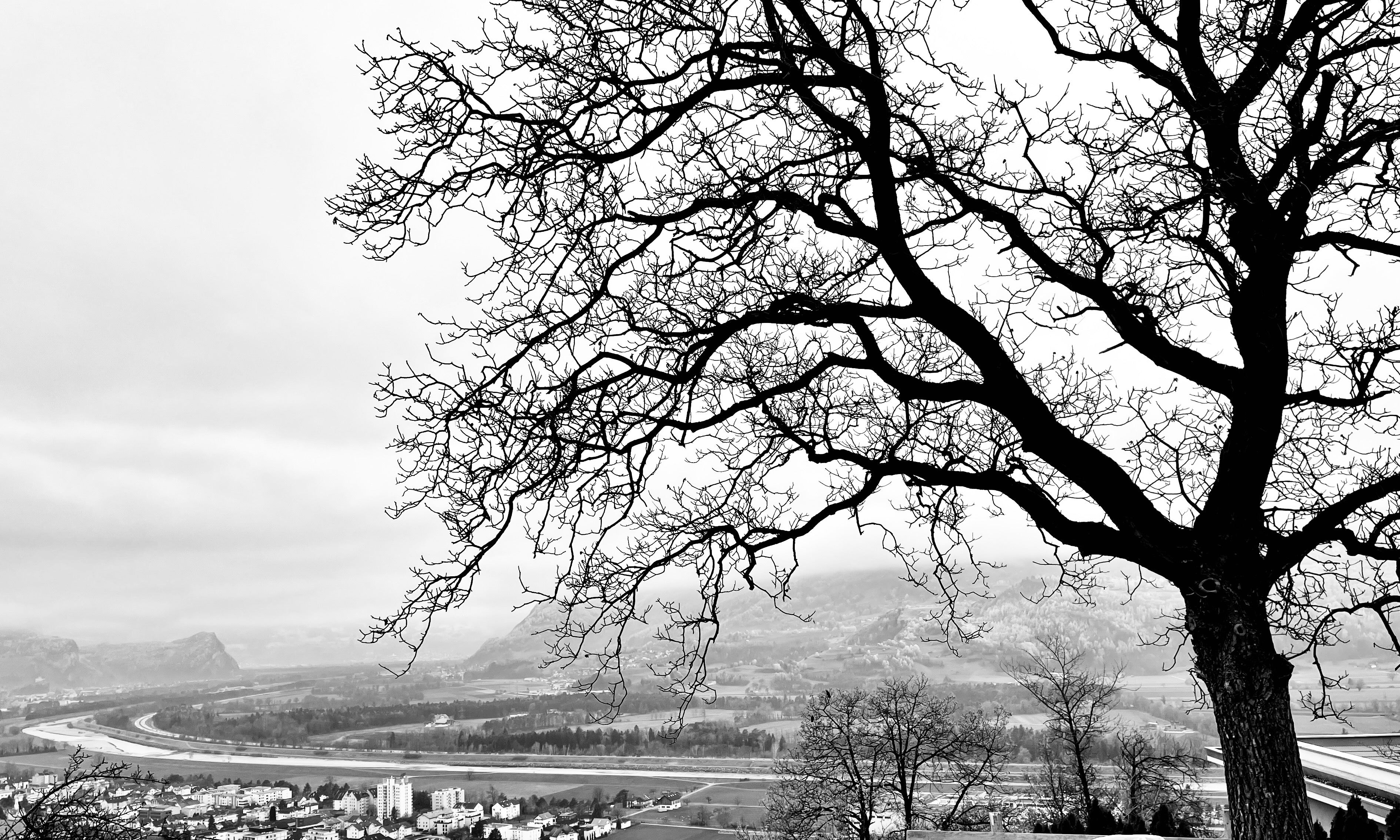 Nature Photography - artisCHt