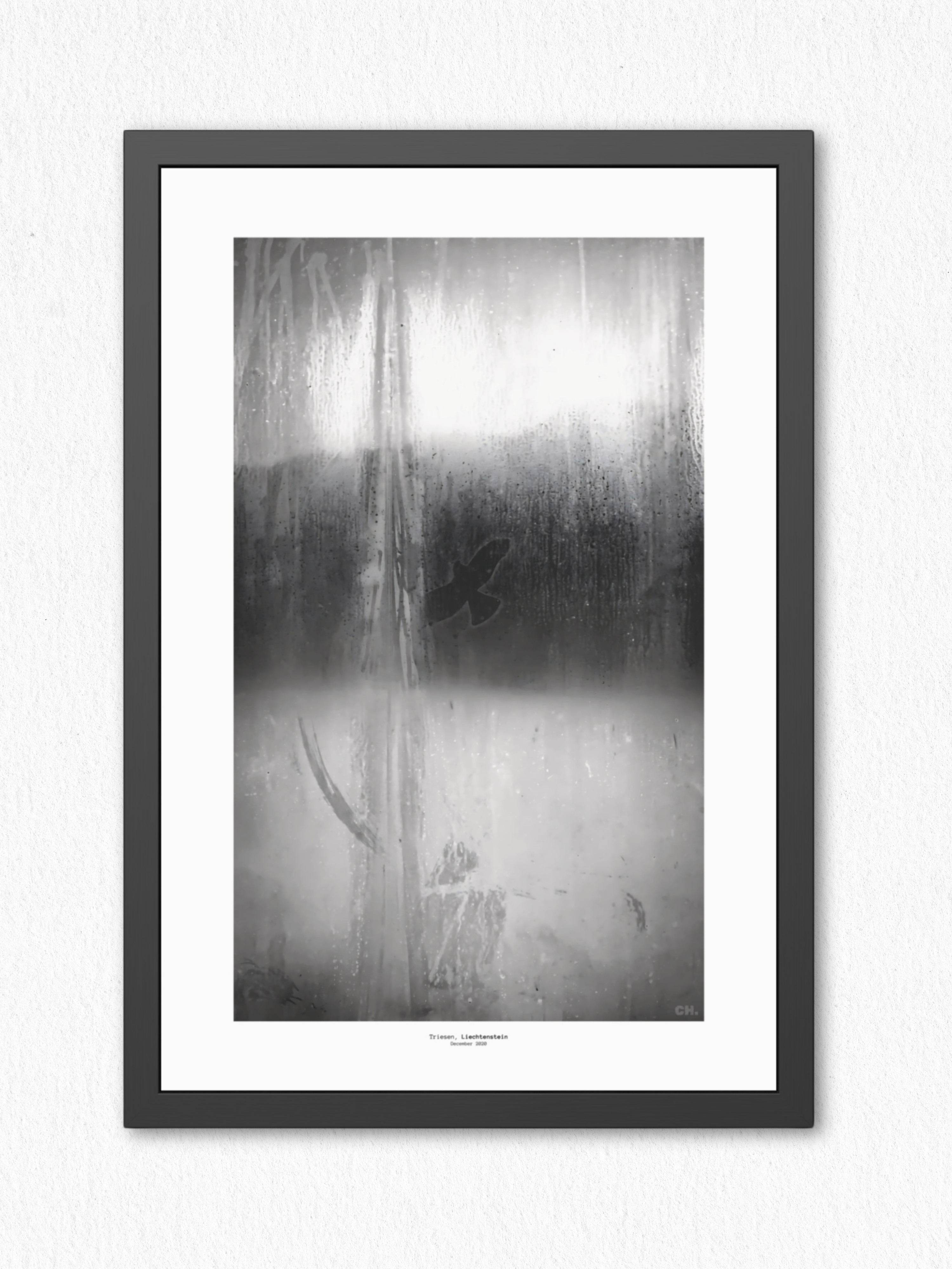 Bird on Glass - Framed Fine Art Photography Print - artisCHt