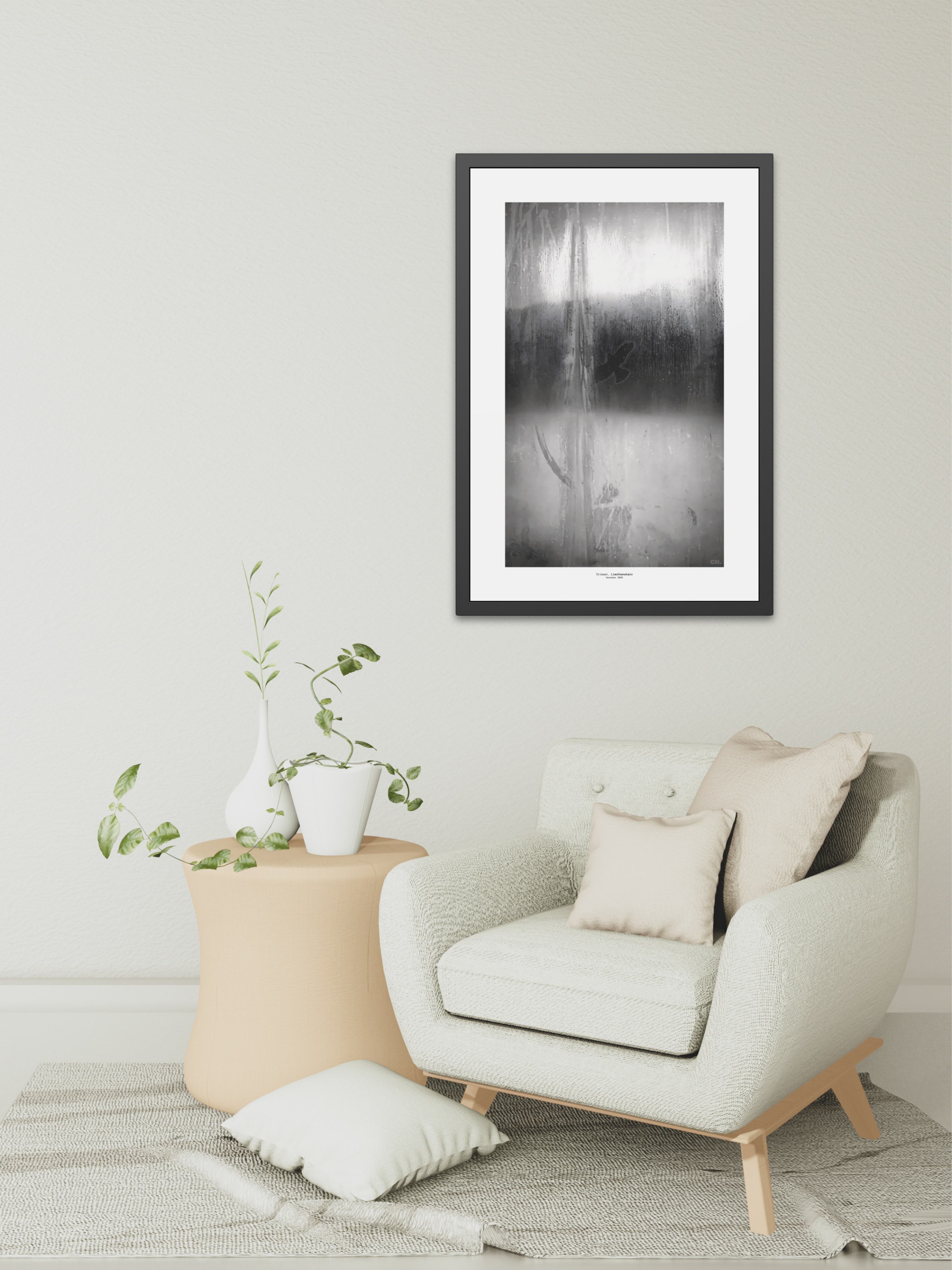 Bird on Glass - Framed Fine Art Photography Print - artisCHt