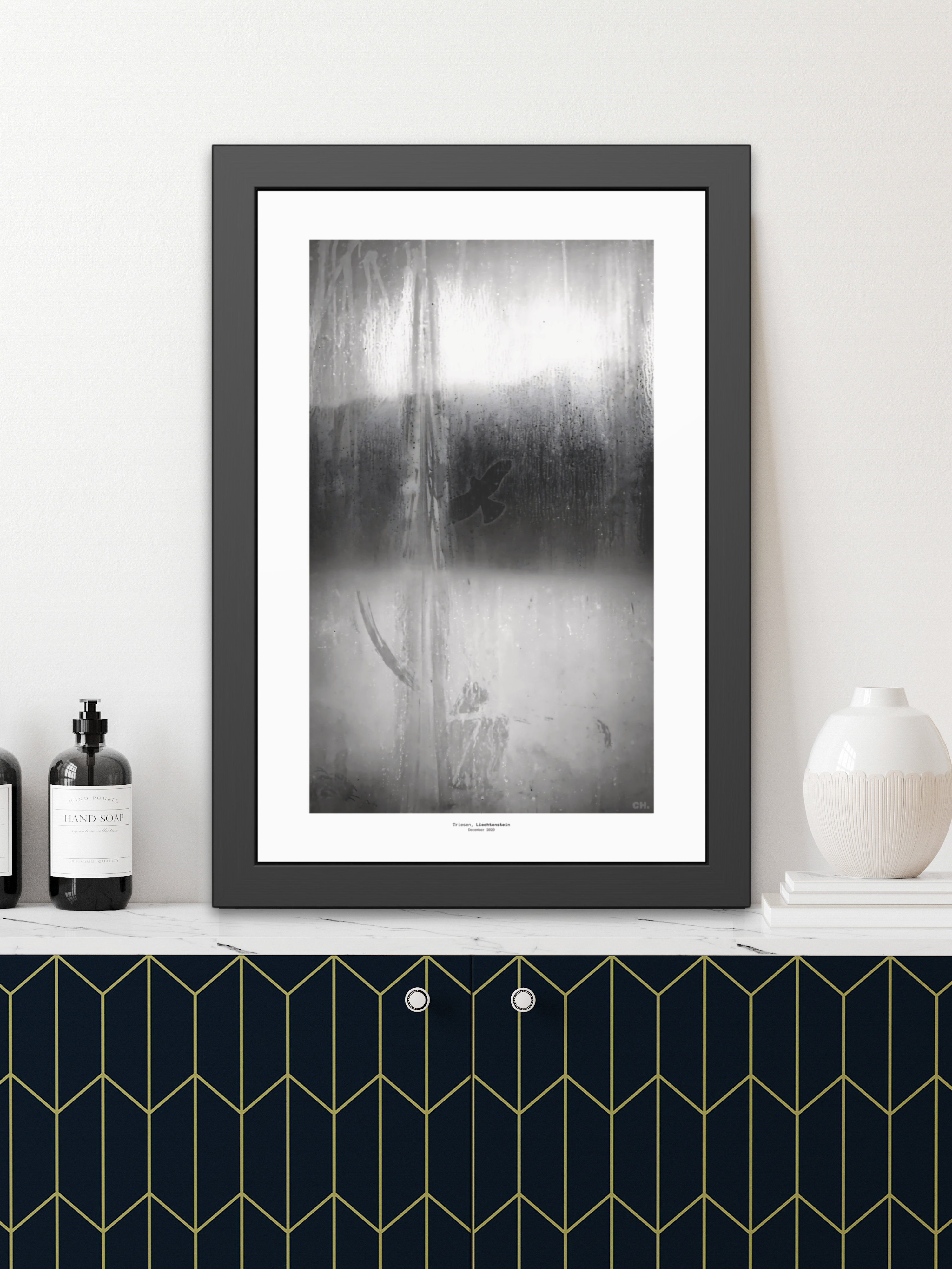 Bird on Glass - Framed Fine Art Photography Print - artisCHt
