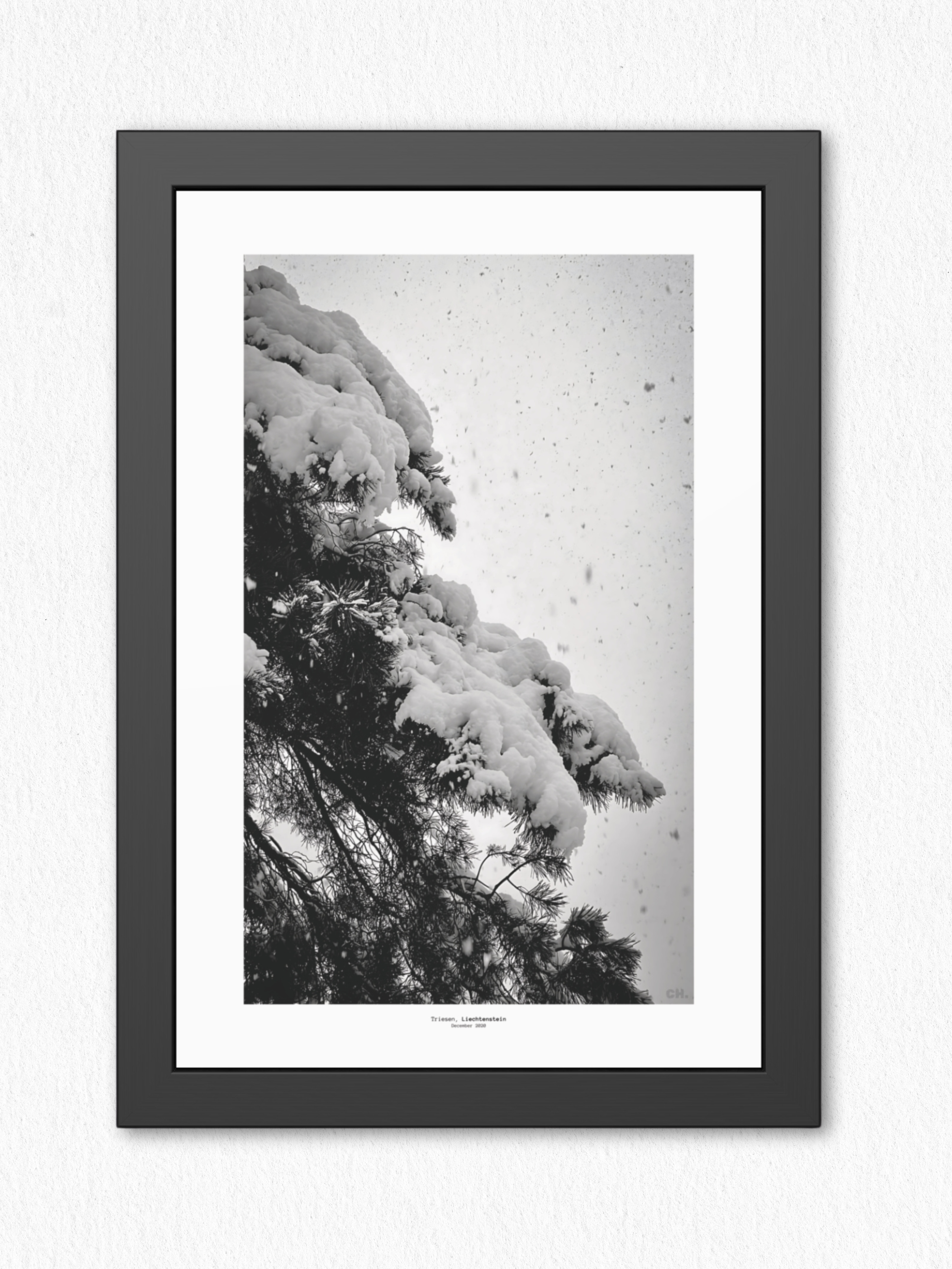 First Silence - Framed Fine Art Photography Print - artisCHt