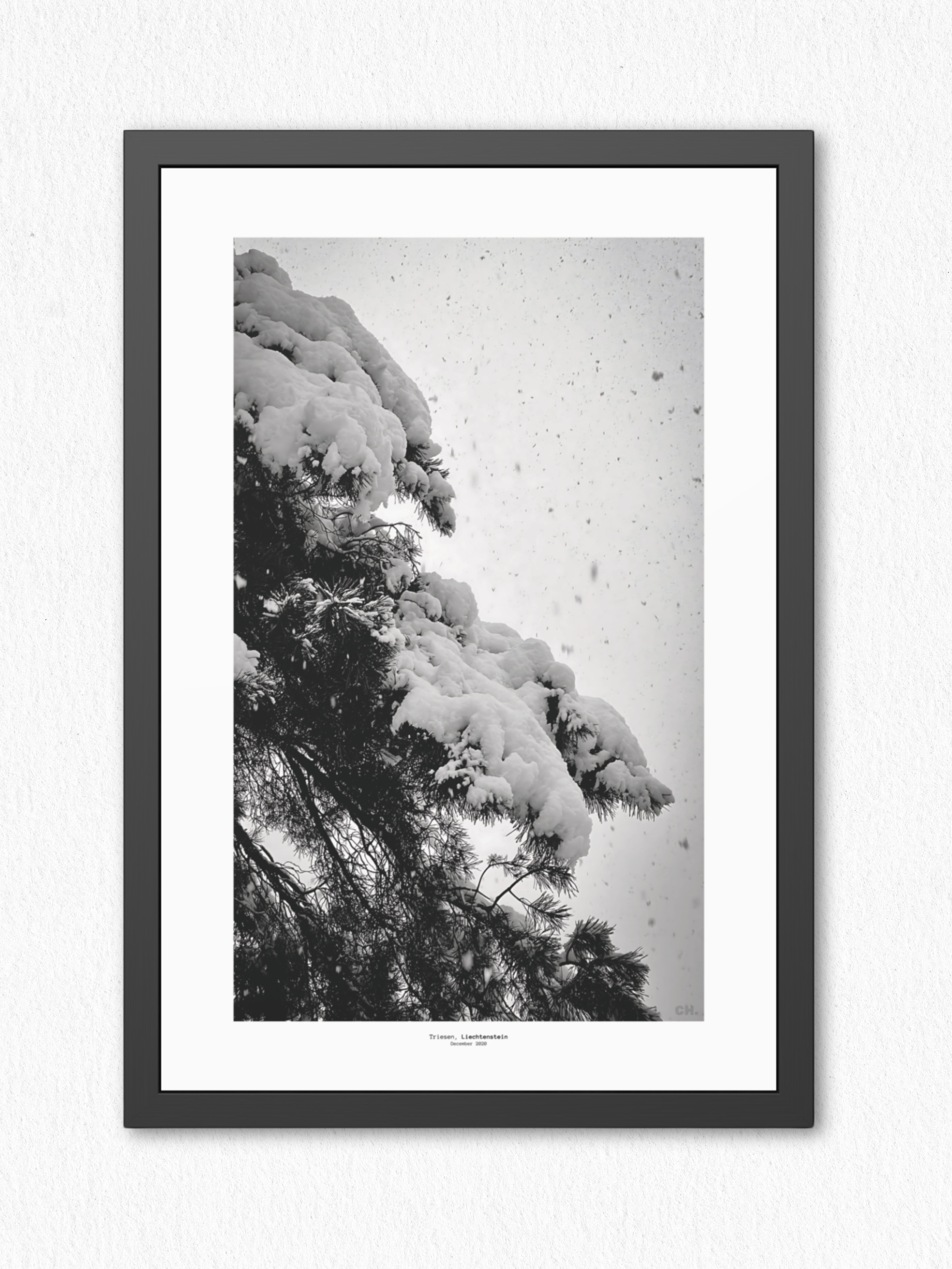 First Silence - Framed Fine Art Photography Print - artisCHt