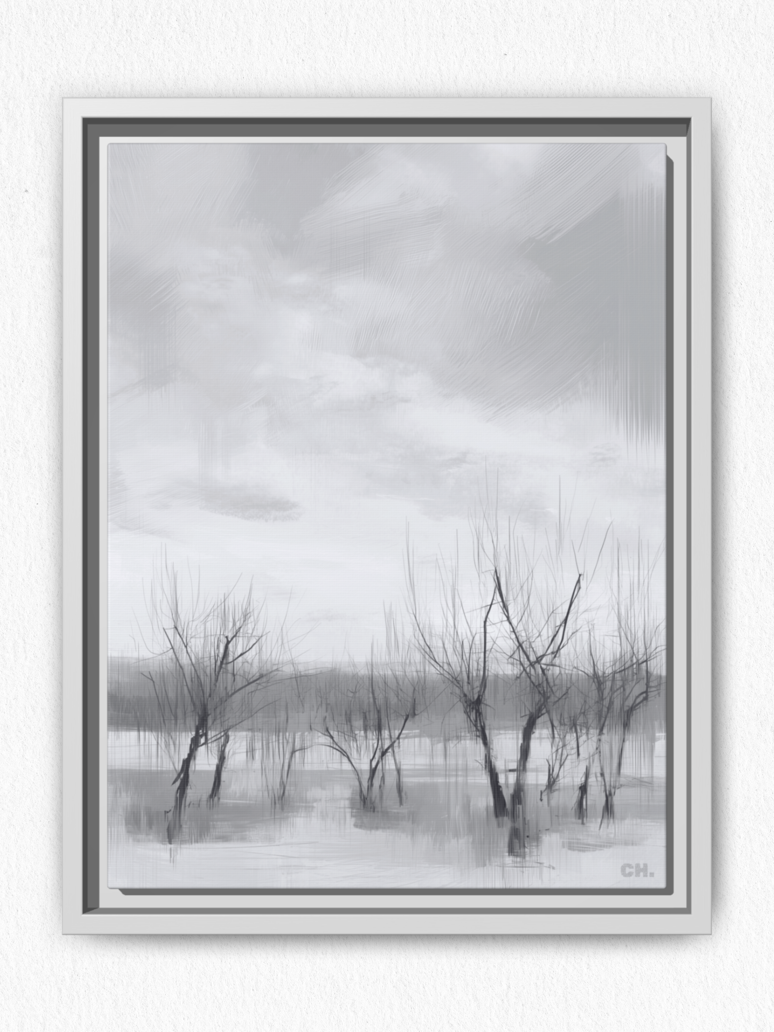 Floodplain Elegy
