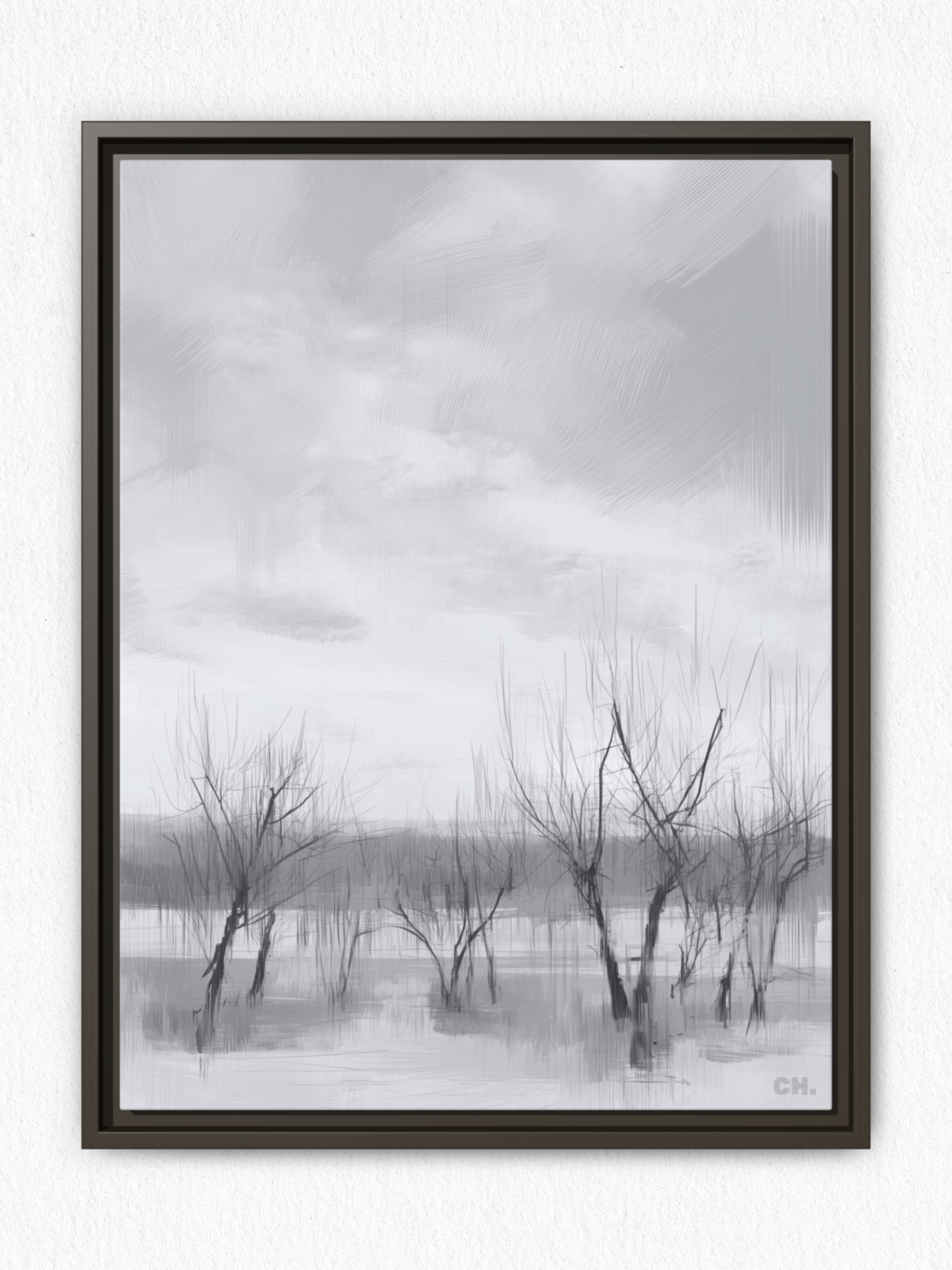 Floodplain Elegy