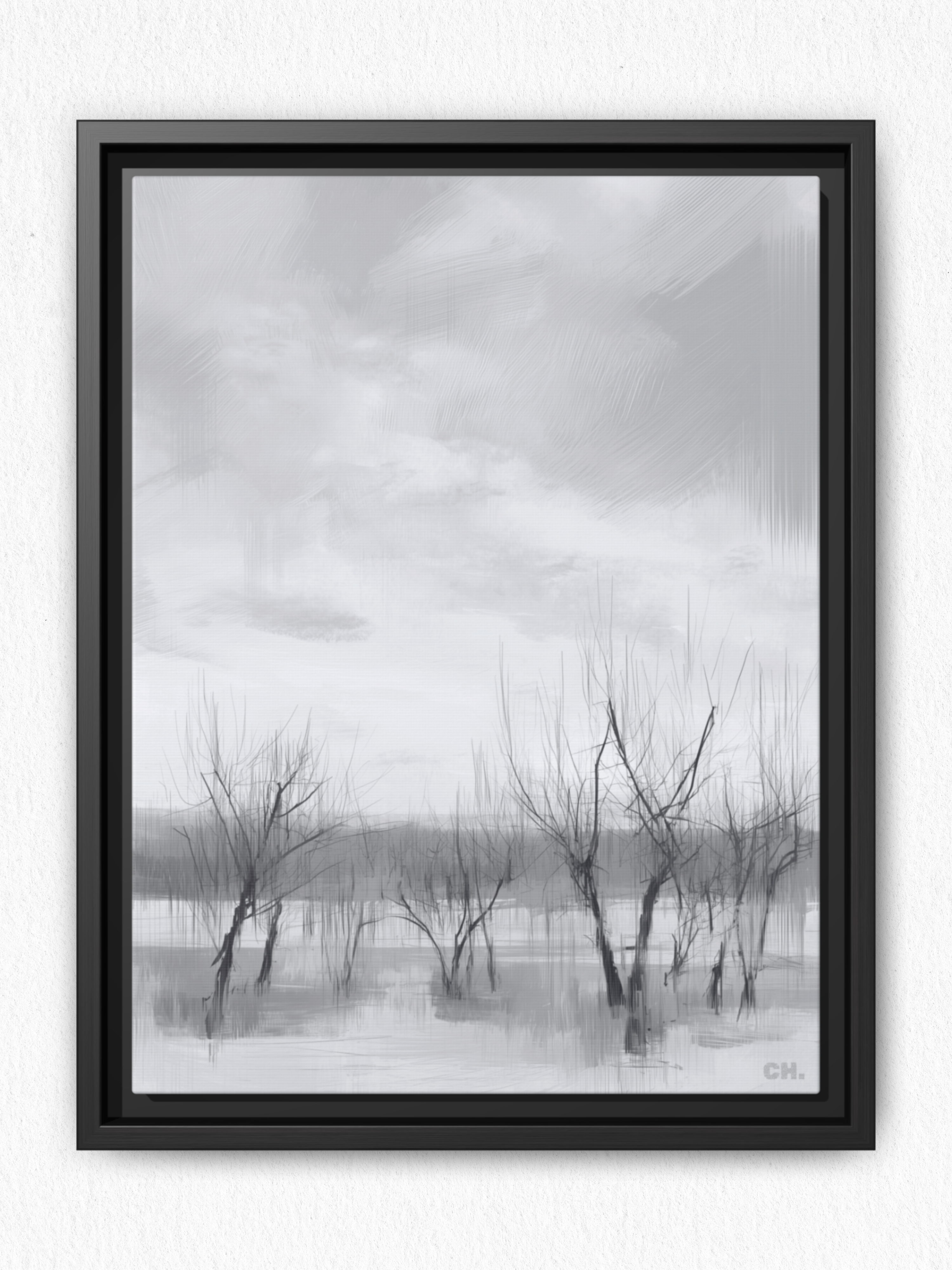 Floodplain Elegy