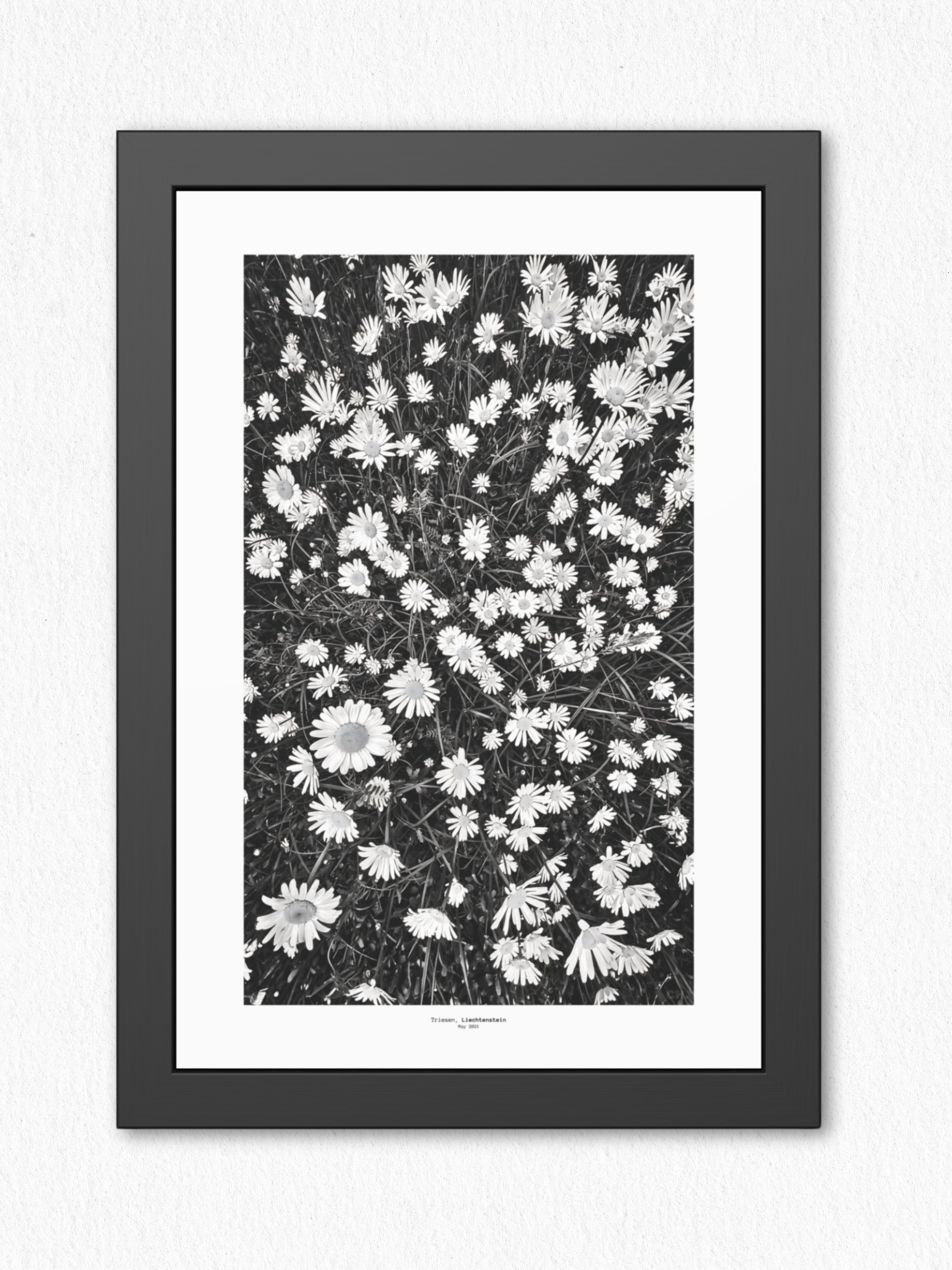 Meadow Language - Framed Fine Art Photography Print - artisCHt