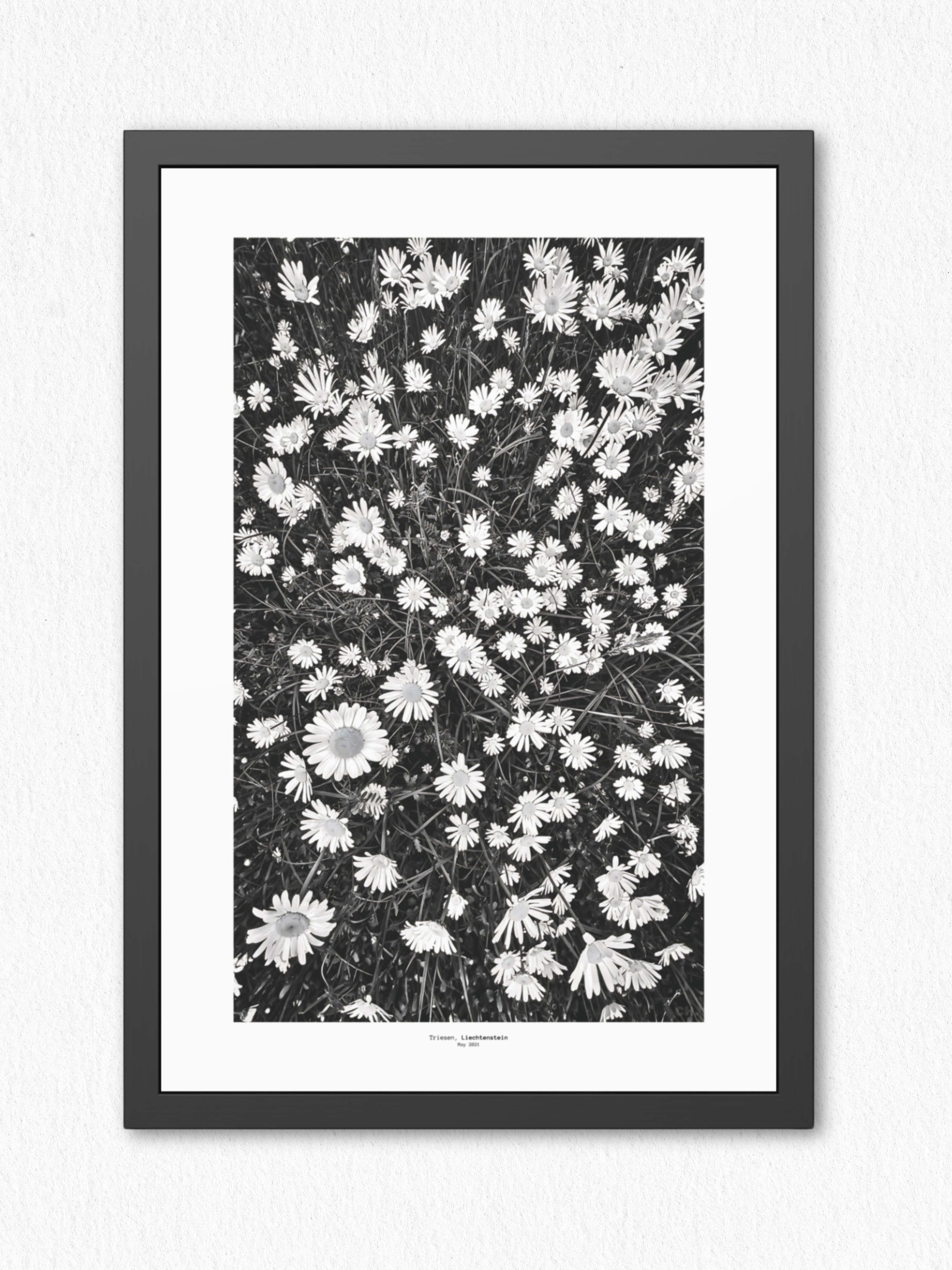 Meadow Language - Framed Fine Art Photography Print - artisCHt