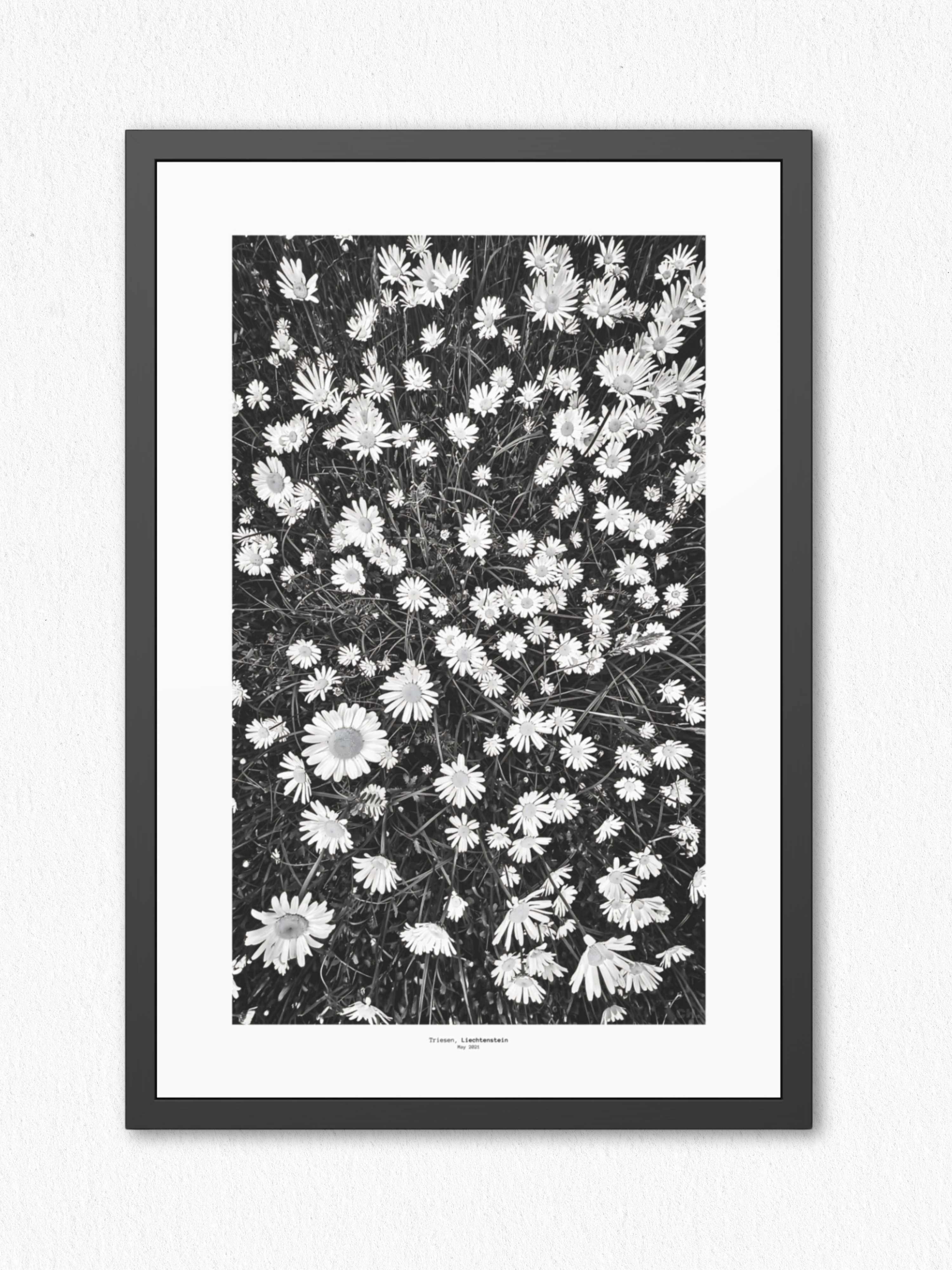 Meadow Language - Framed Fine Art Photography Print - artisCHt