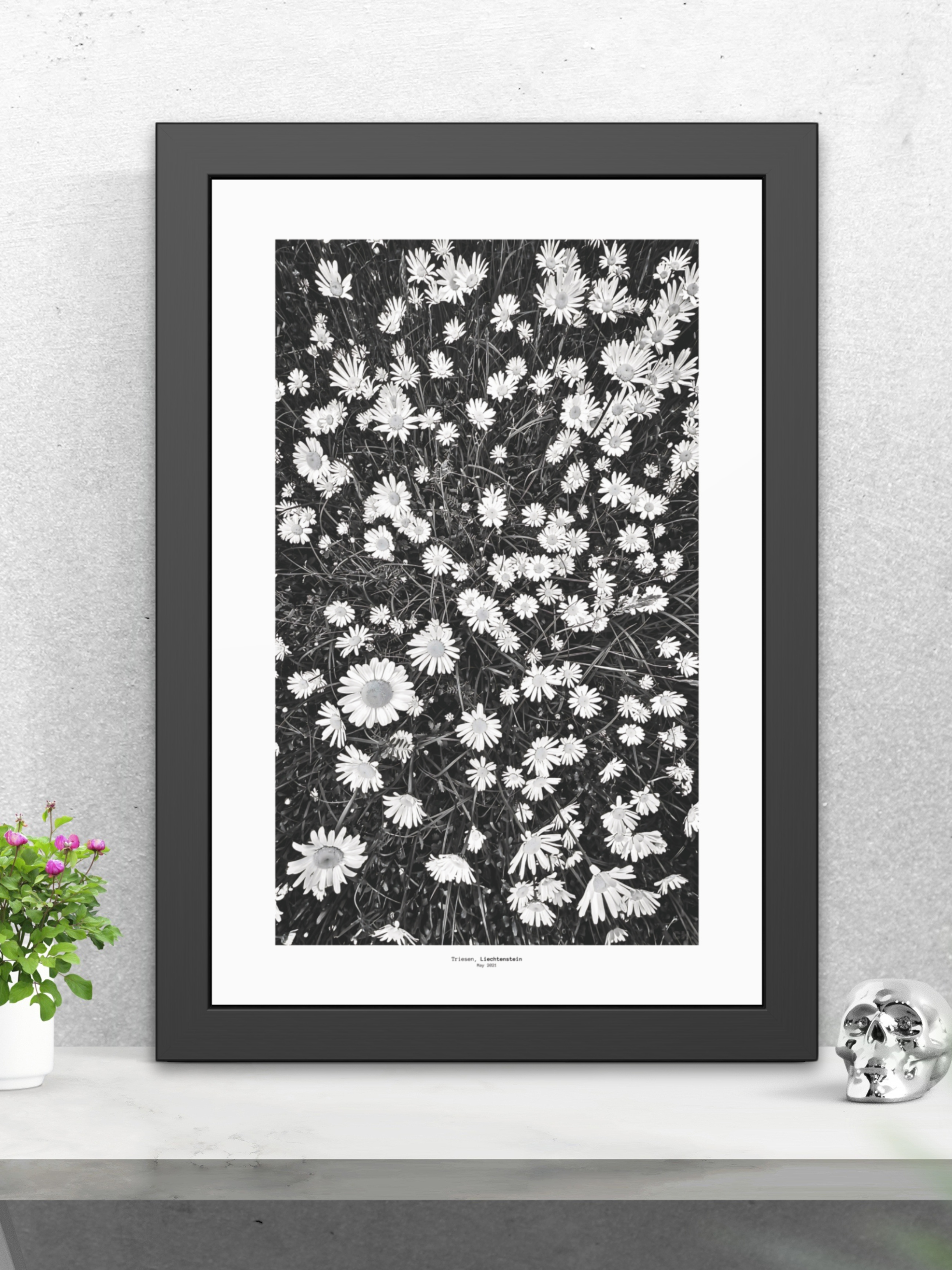 Meadow Language - Framed Fine Art Photography Print - artisCHt