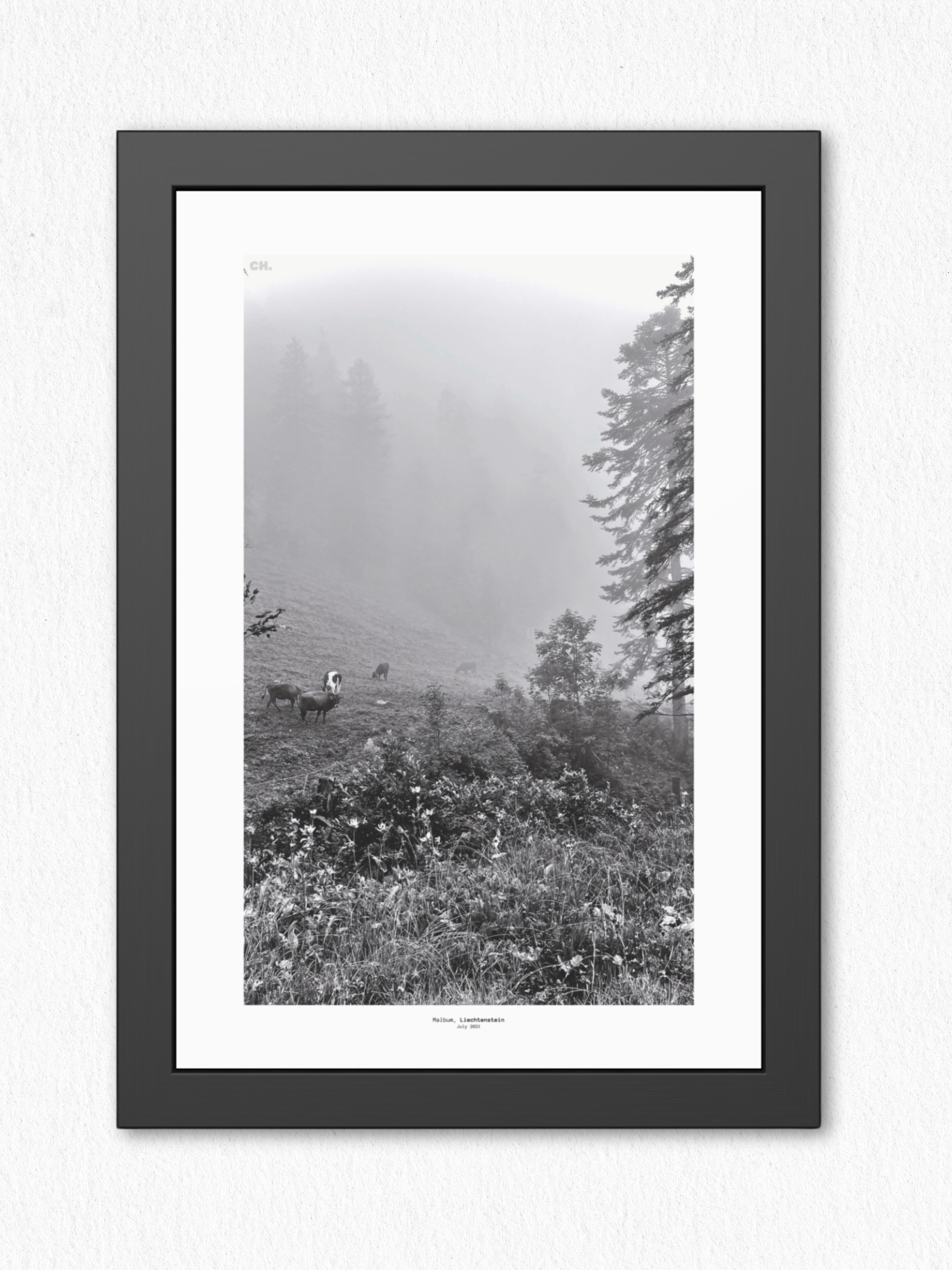 Morning Grazing - Framed Fine Art Photography Print - artisCHt