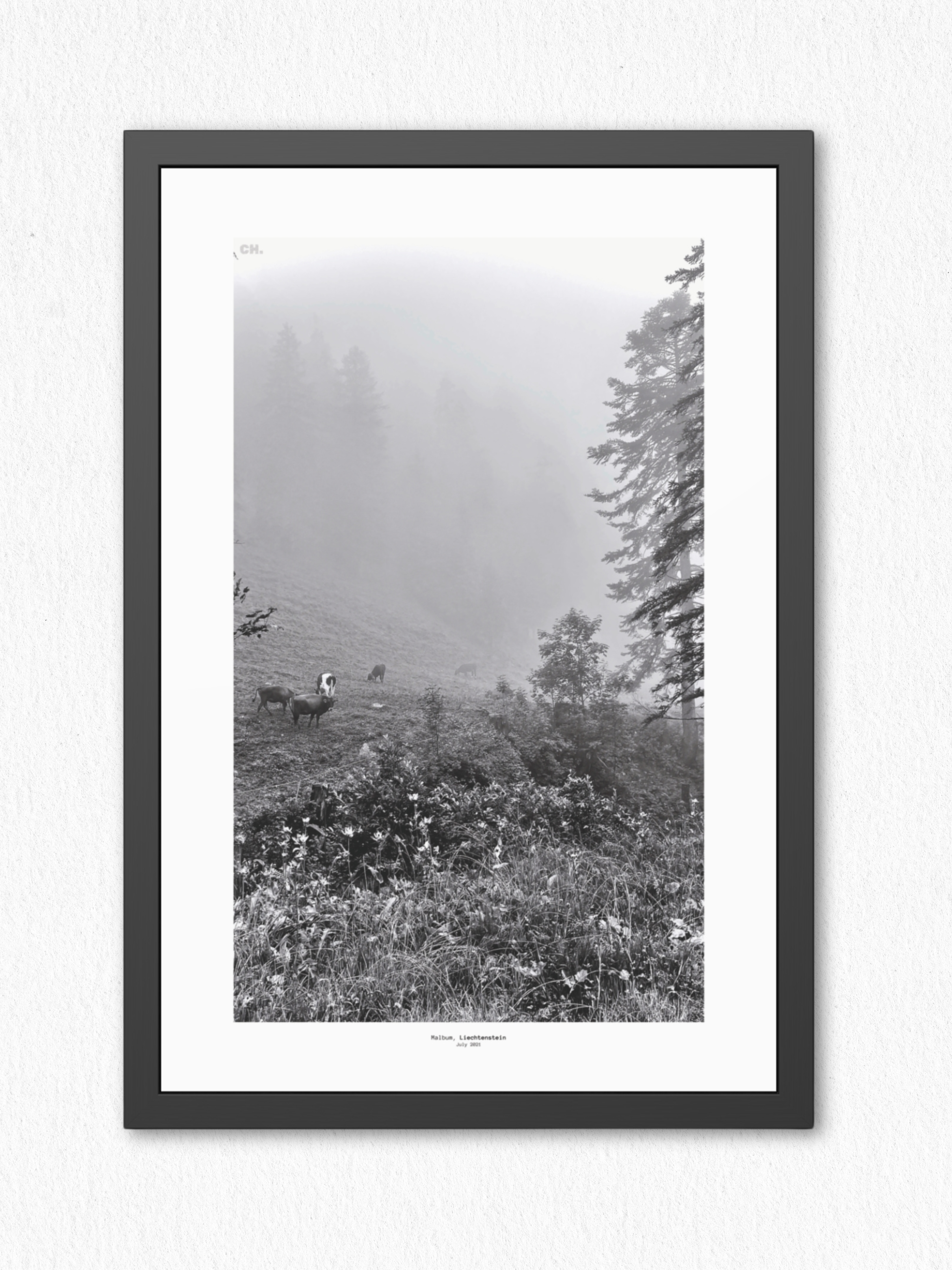 Morning Grazing - Framed Fine Art Photography Print - artisCHt