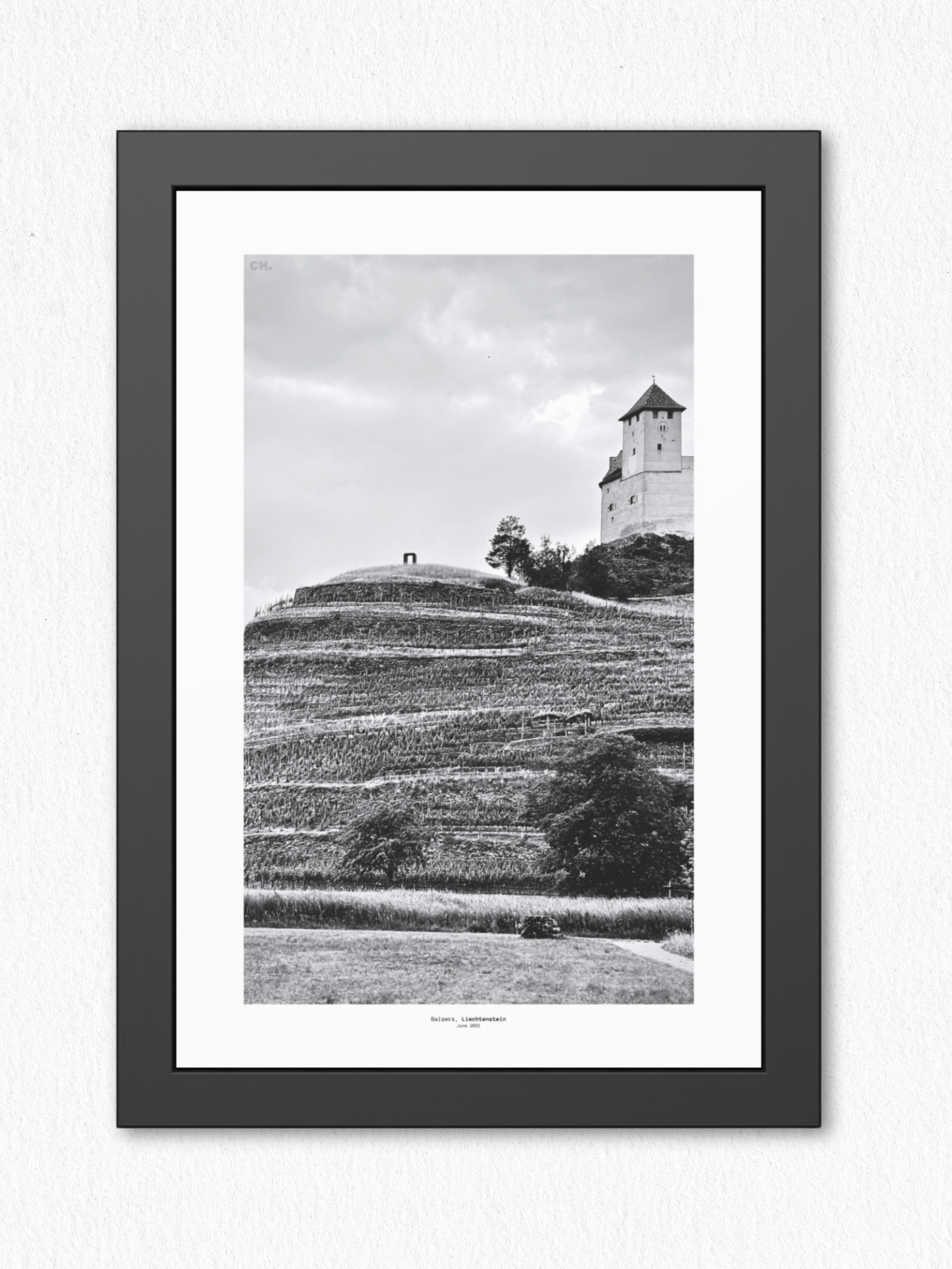 Through the Vines - Framed Fine Art Photography Print - artisCHt