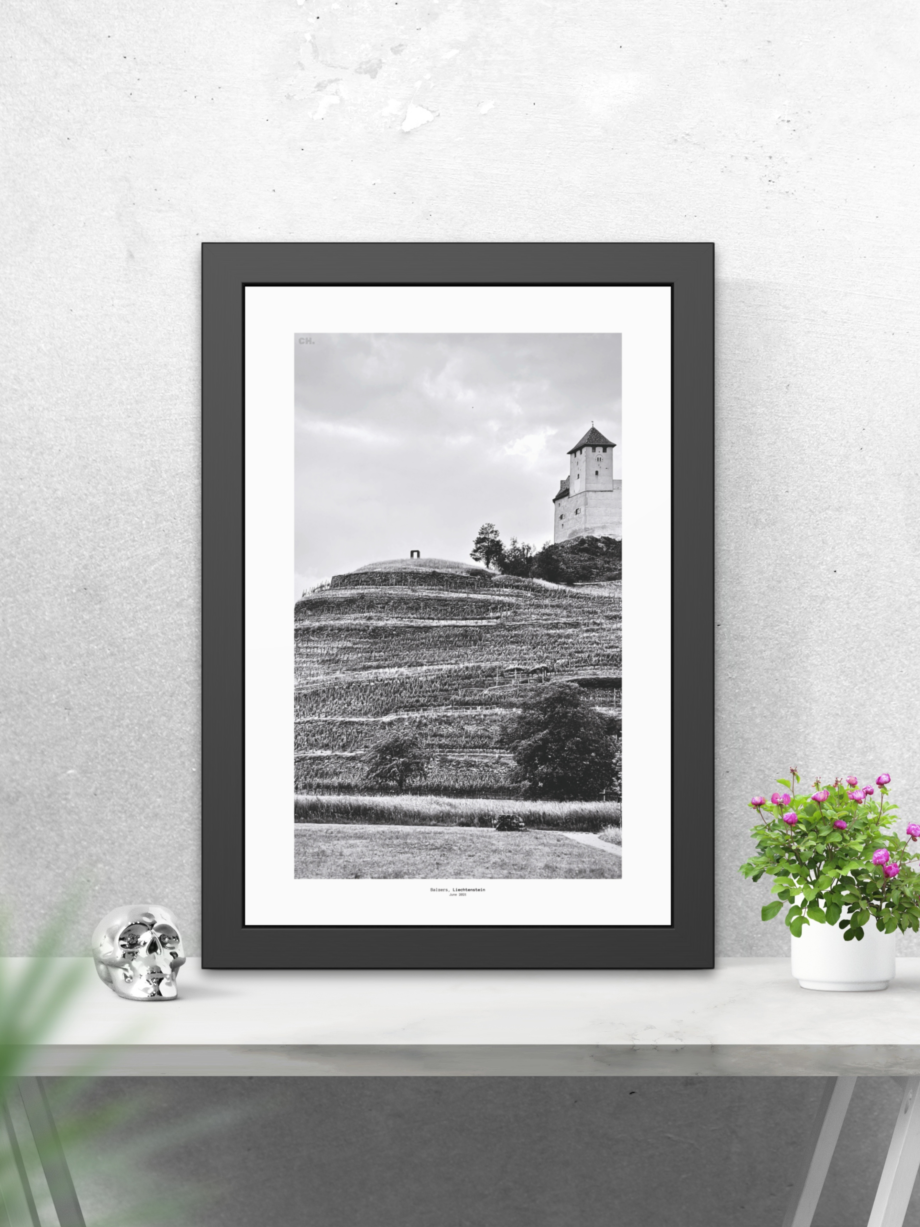 Through the Vines - Framed Fine Art Photography Print - artisCHt