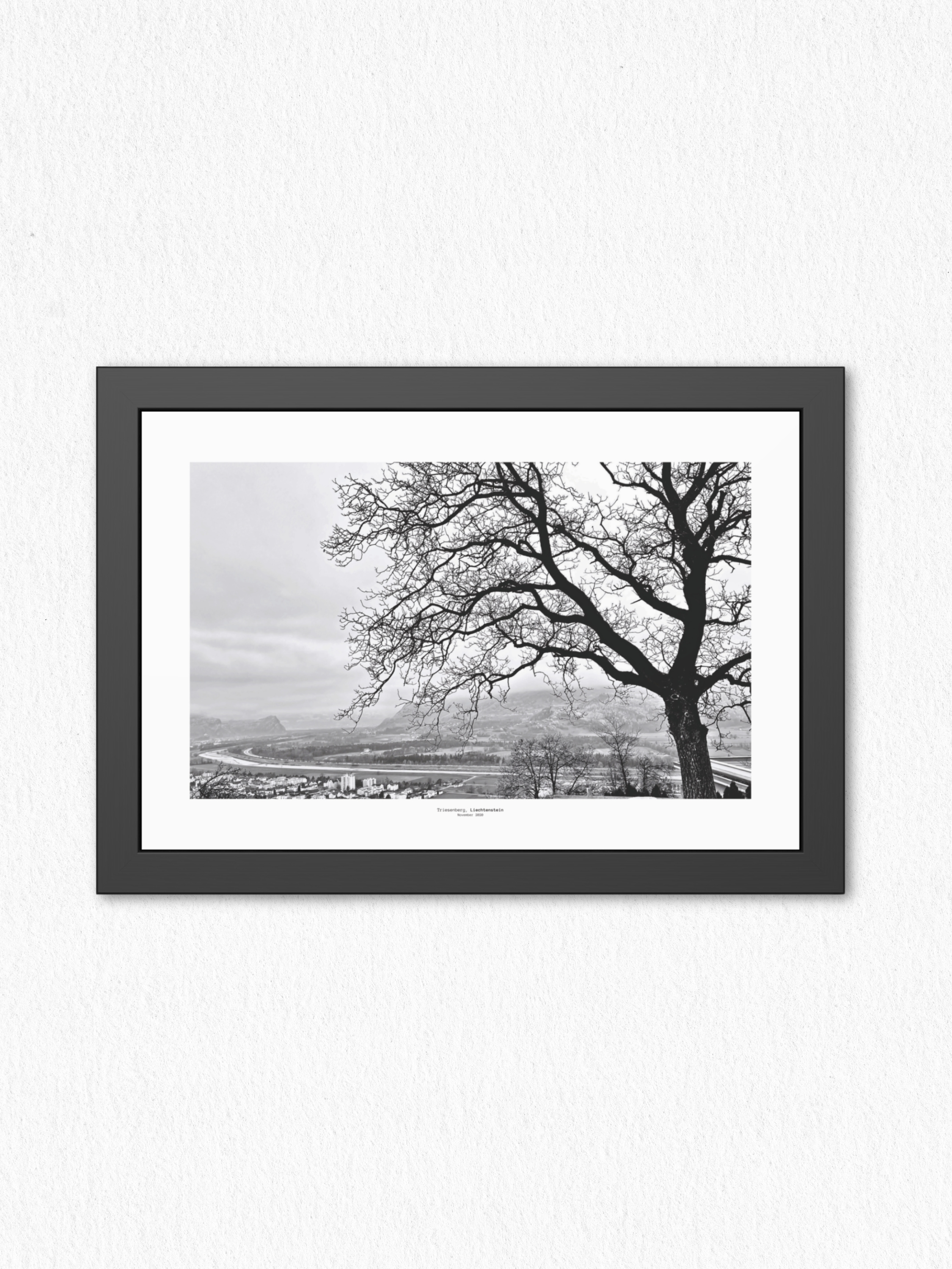 Winter_Veins - Framed Fine Art Photography Print - artisCHt