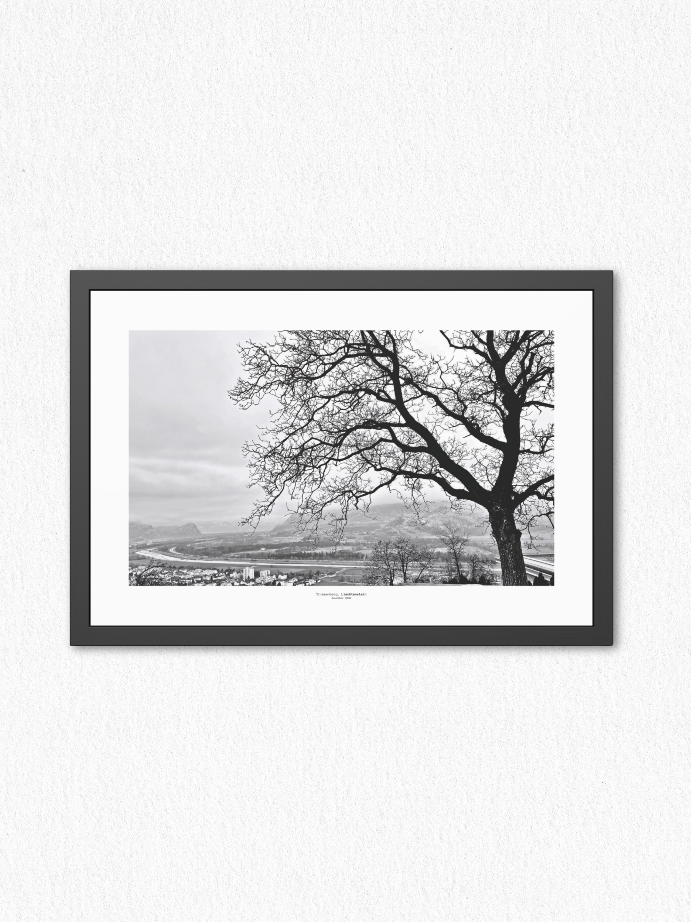 Winter_Veins - Framed Fine Art Photography Print - artisCHt
