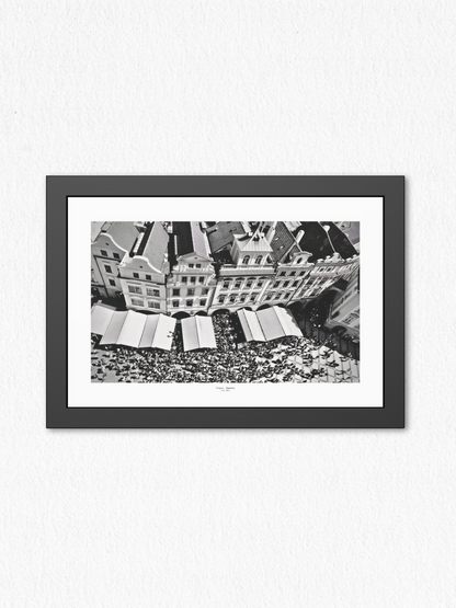 Beneath_The_Canopy - Framed Fine Art Photography Print - artisCHt