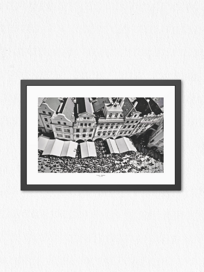 Beneath_The_Canopy - Framed Fine Art Photography Print - artisCHt