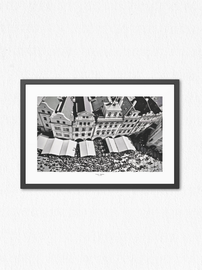 Beneath_The_Canopy - Framed Fine Art Photography Print - artisCHt