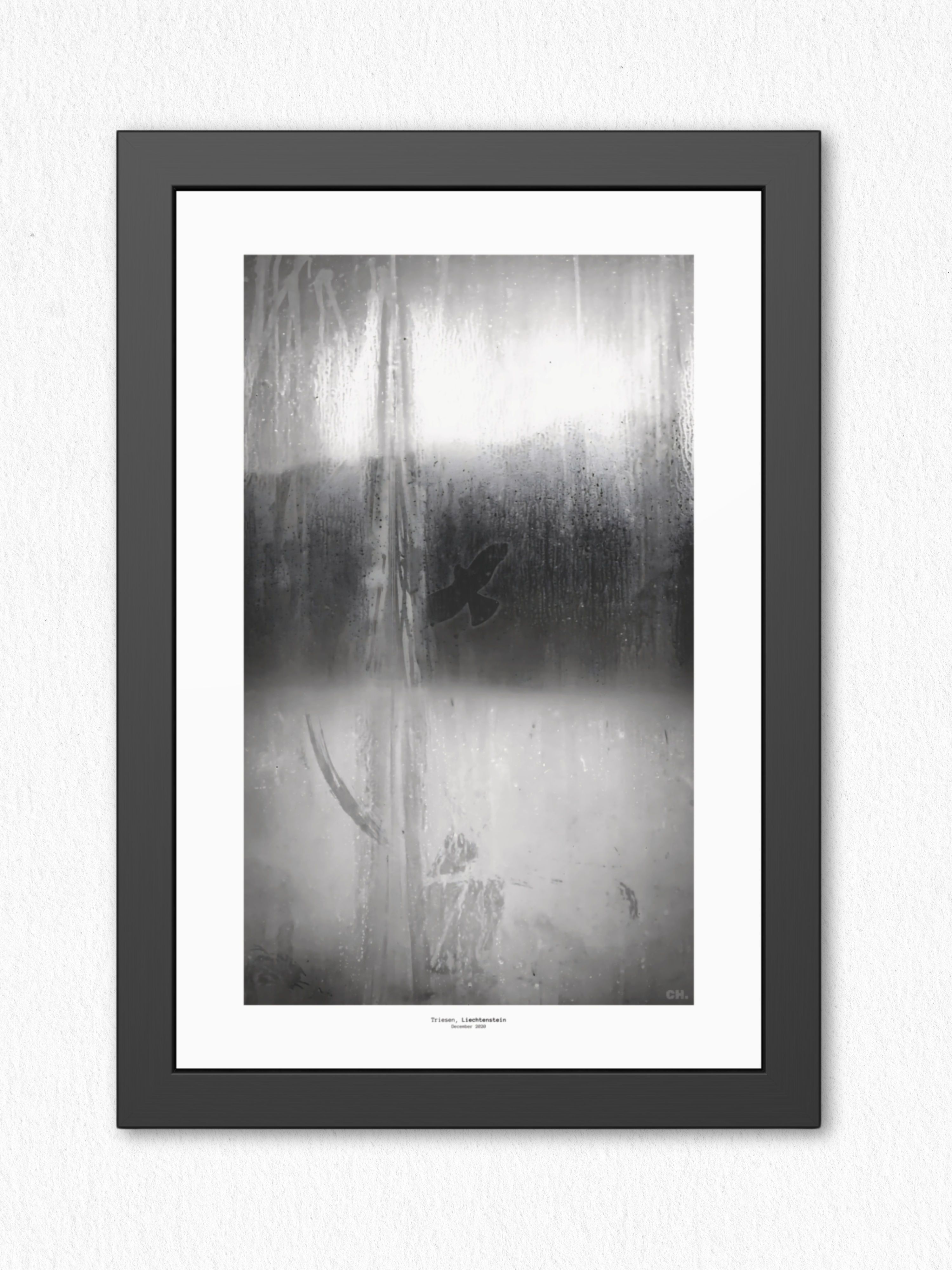 Bird on Glass - artisCHt