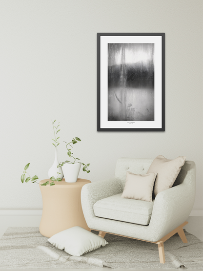 Bird on Glass - Framed Fine Art Photography Print - artisCHt