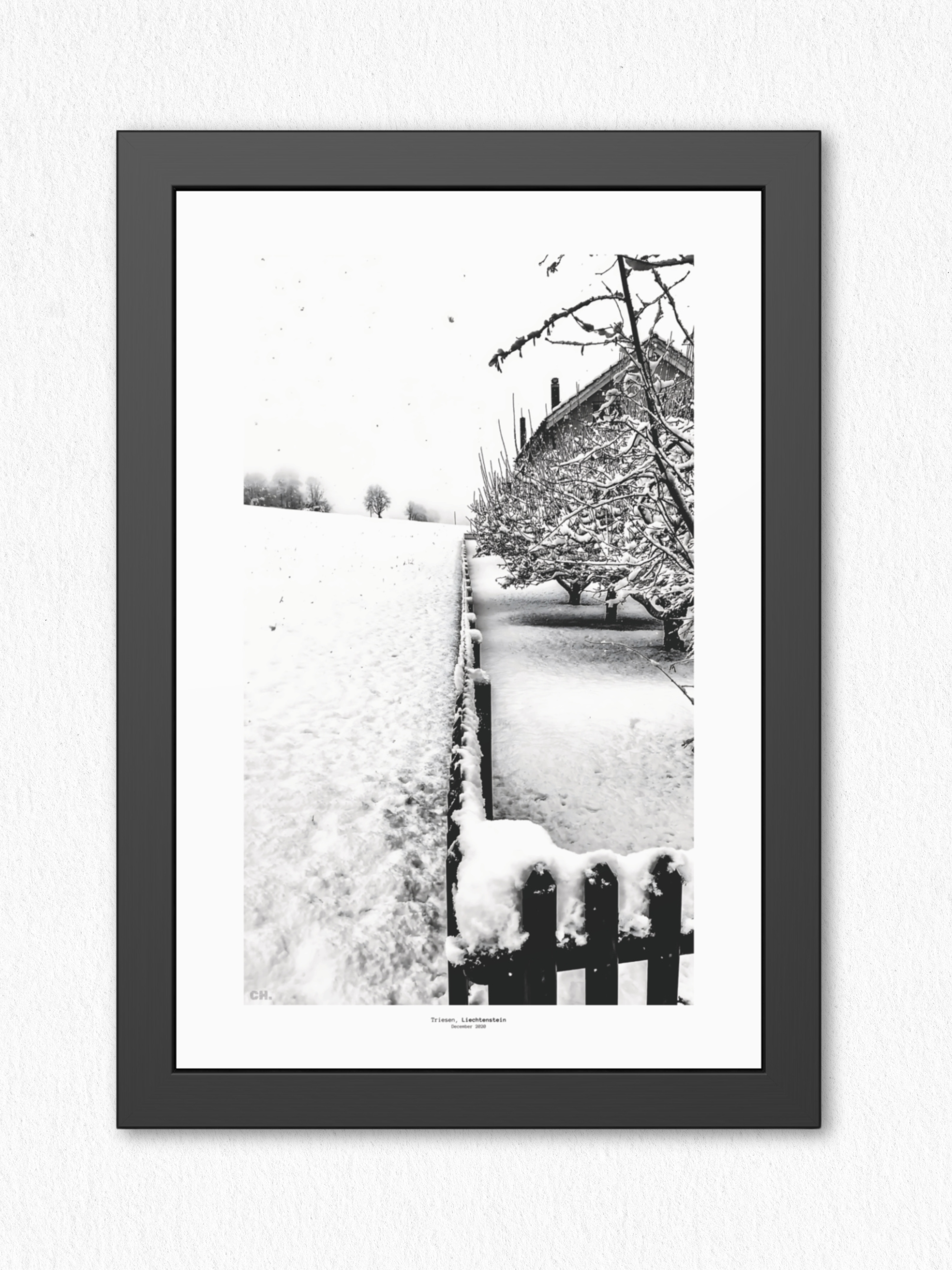 Dividing Lines - artisCHt