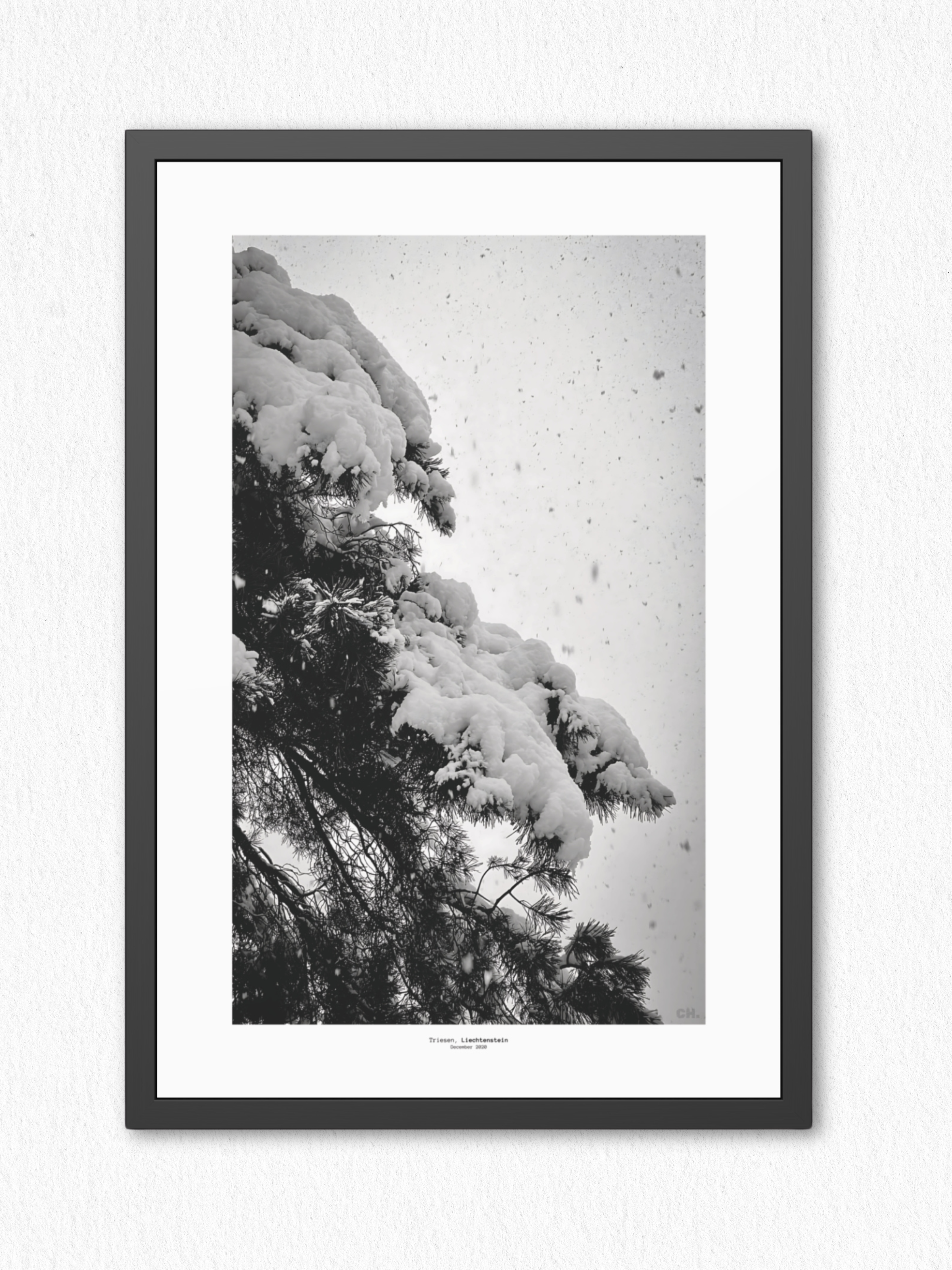 First Silence - Framed Fine Art Photography Print - artisCHt