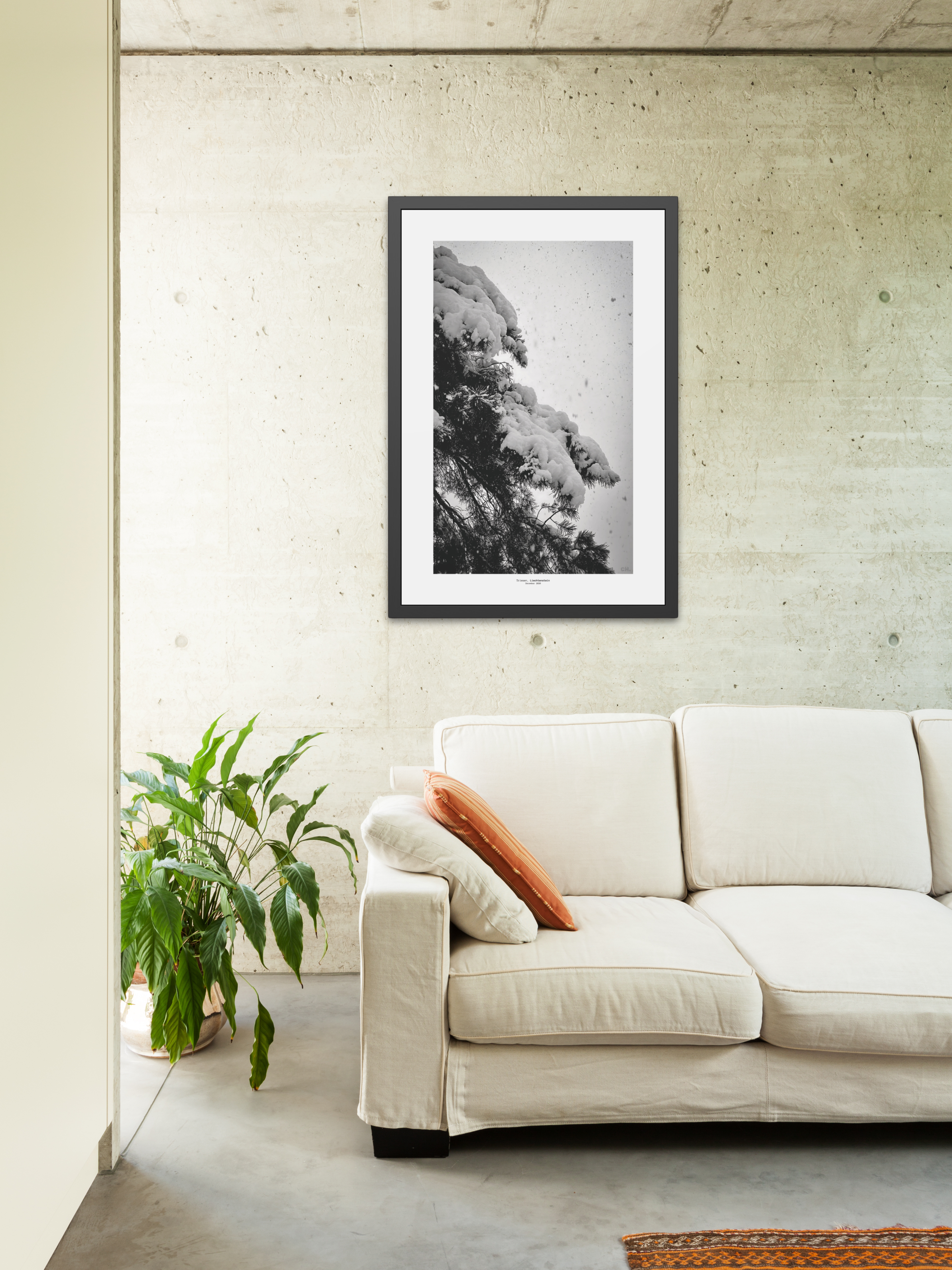 First Silence - Framed Fine Art Photography Print - artisCHt