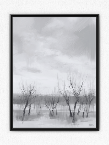 Floodplain Elegy
