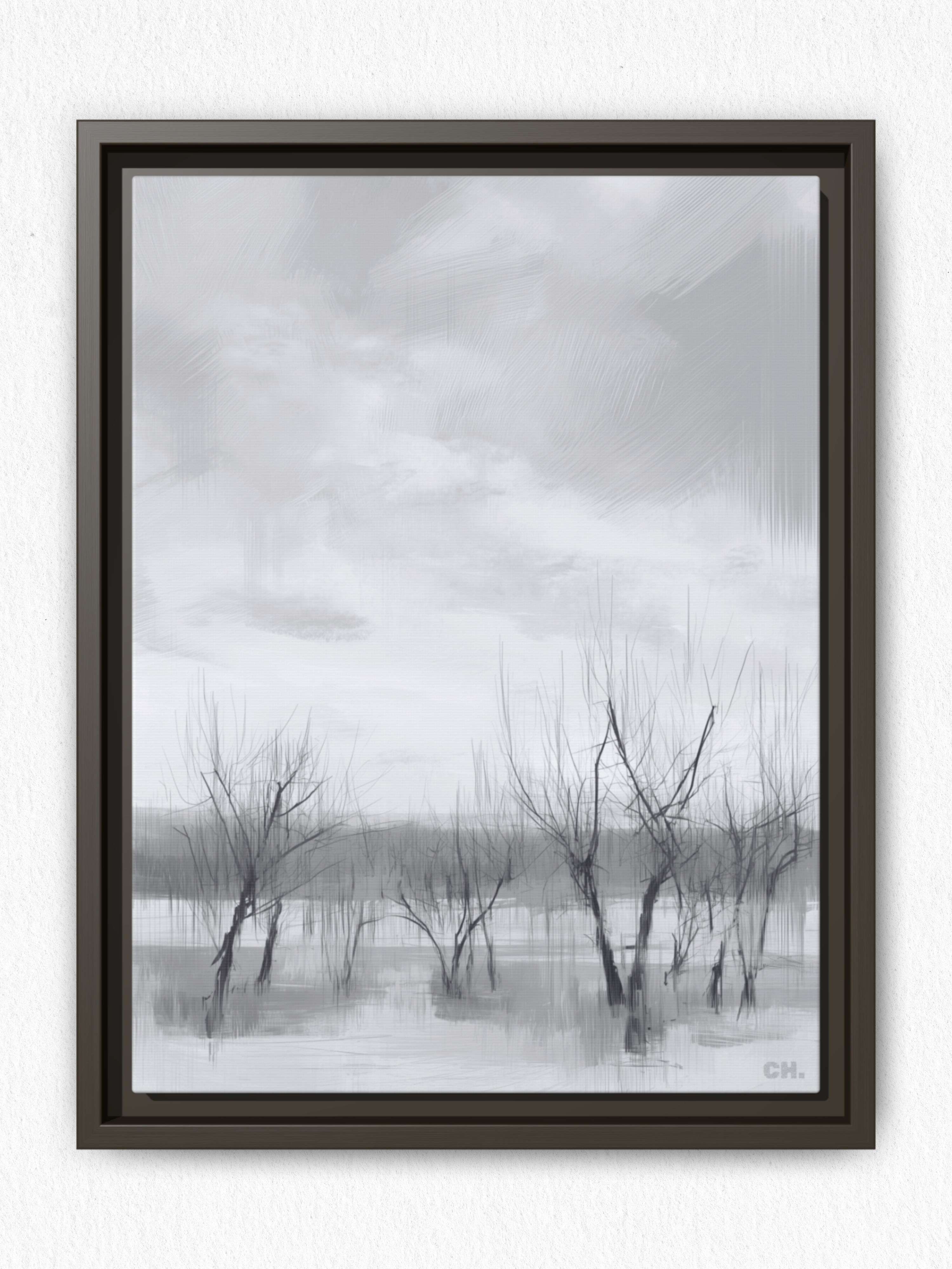 Floodplain Elegy