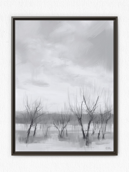 Floodplain Elegy