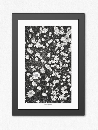 Meadow Language - Framed Fine Art Photography Print - artisCHt