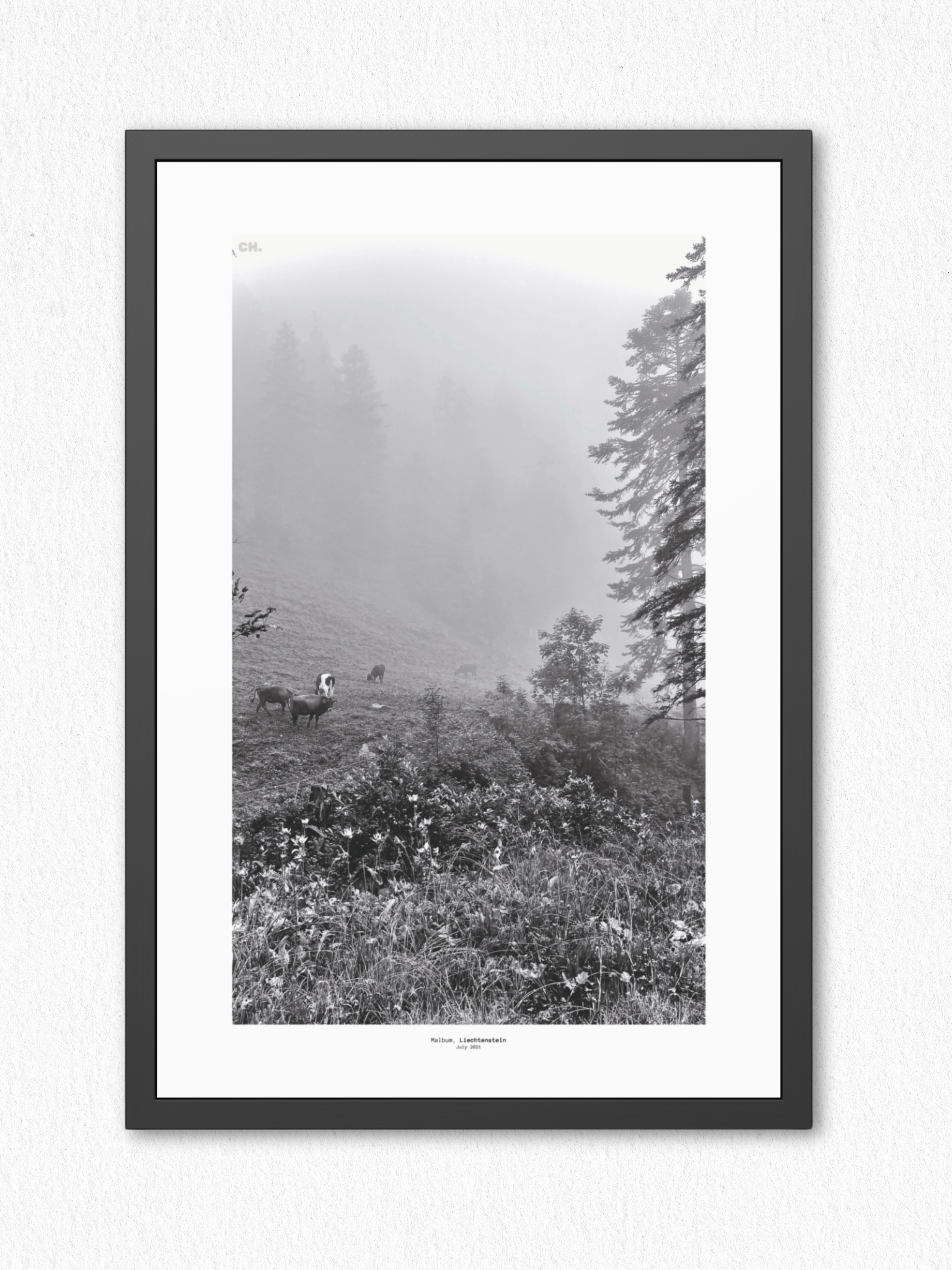 Morning Grazing - Framed Fine Art Photography Print - artisCHt