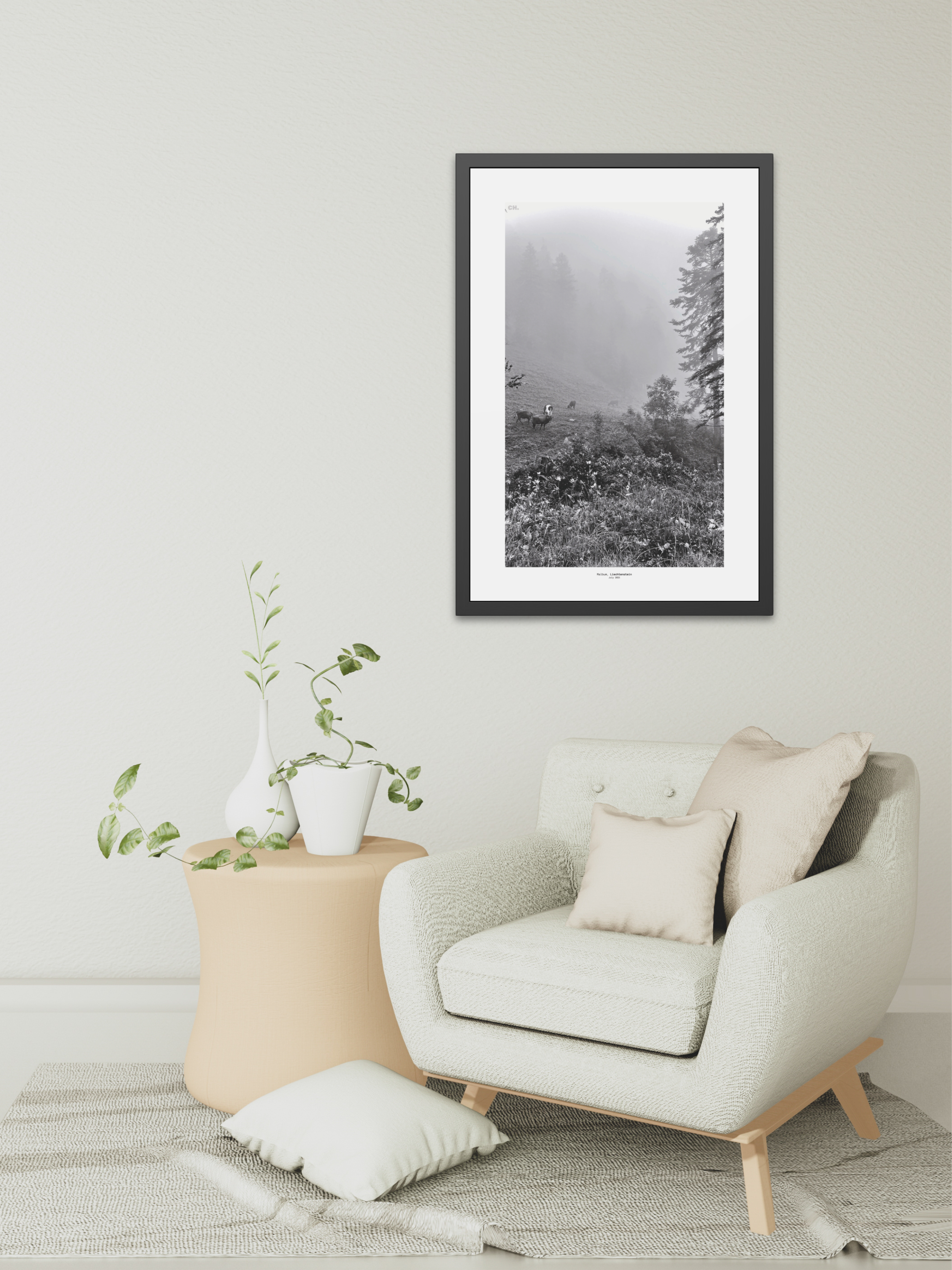 Morning Grazing - Framed Fine Art Photography Print - artisCHt