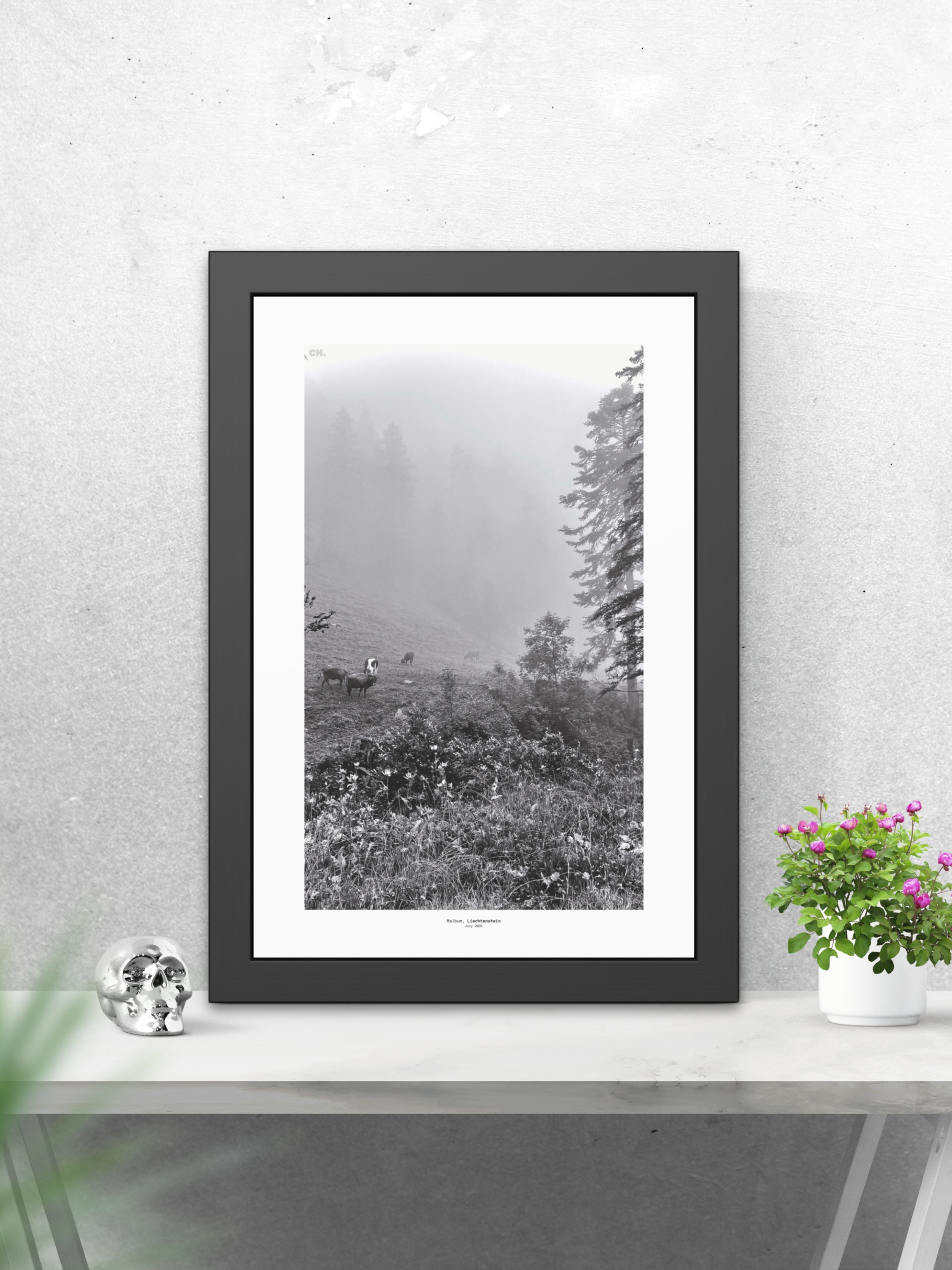 Morning Grazing - Framed Fine Art Photography Print - artisCHt