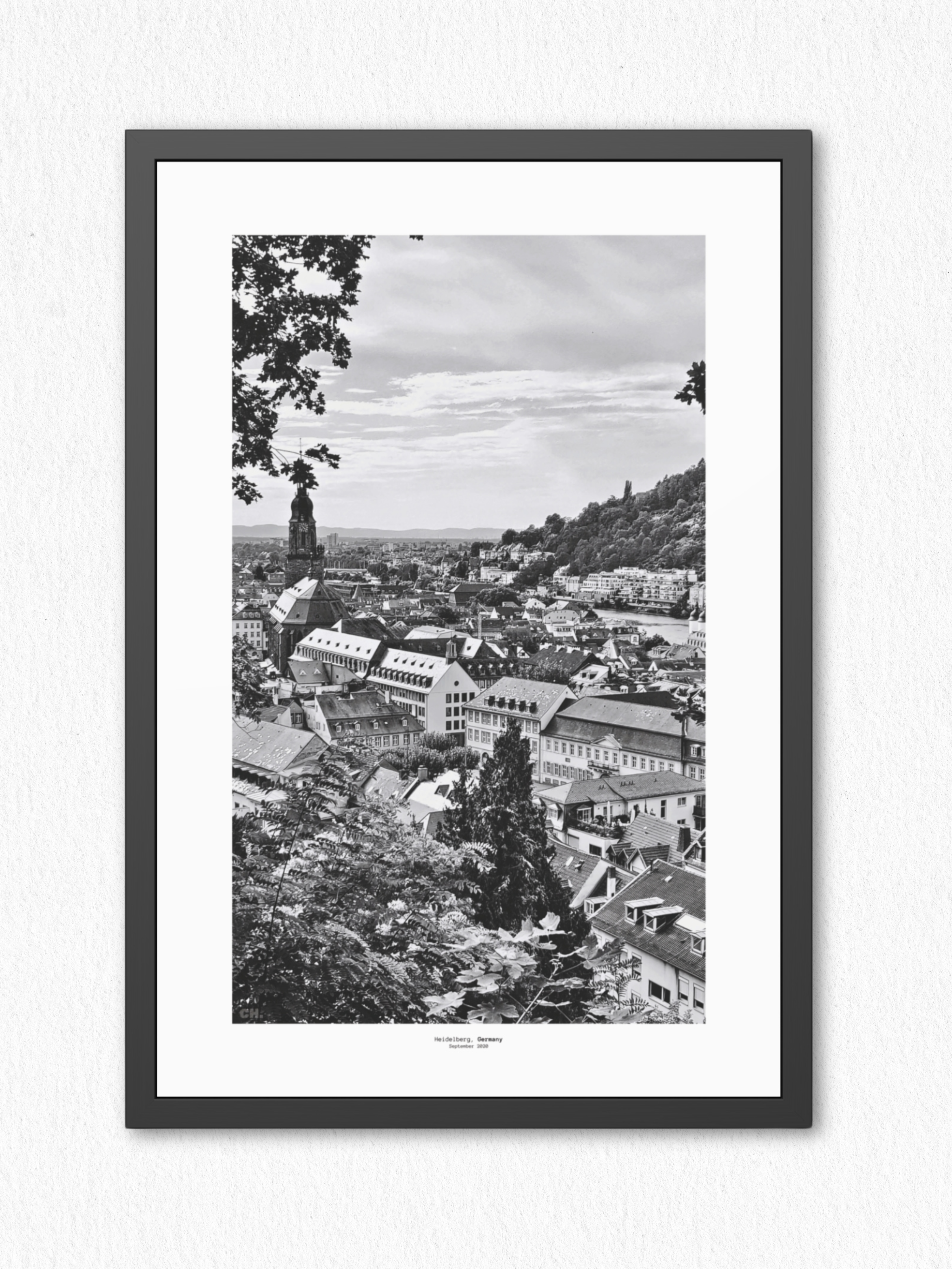 Through the Leaves - Framed Fine Art Photography Print - artisCHt