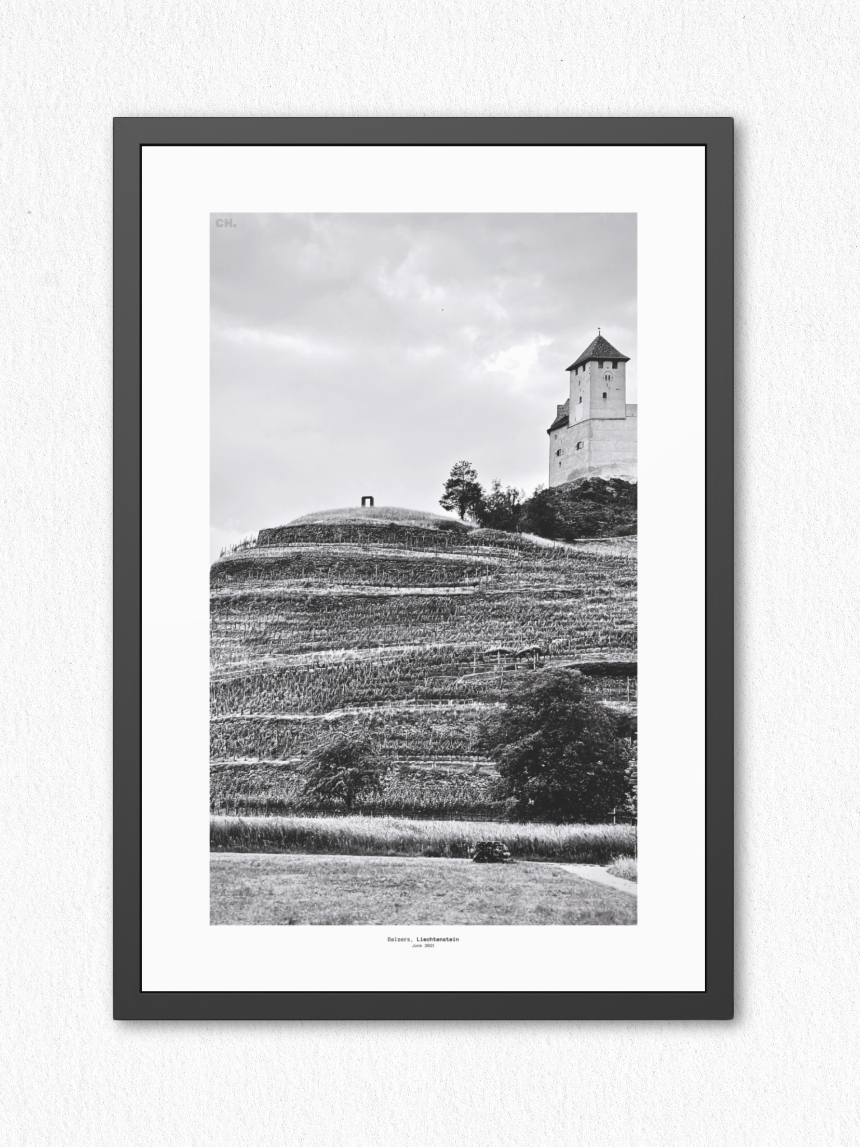Through the Vines - Framed Fine Art Photography Print - artisCHt