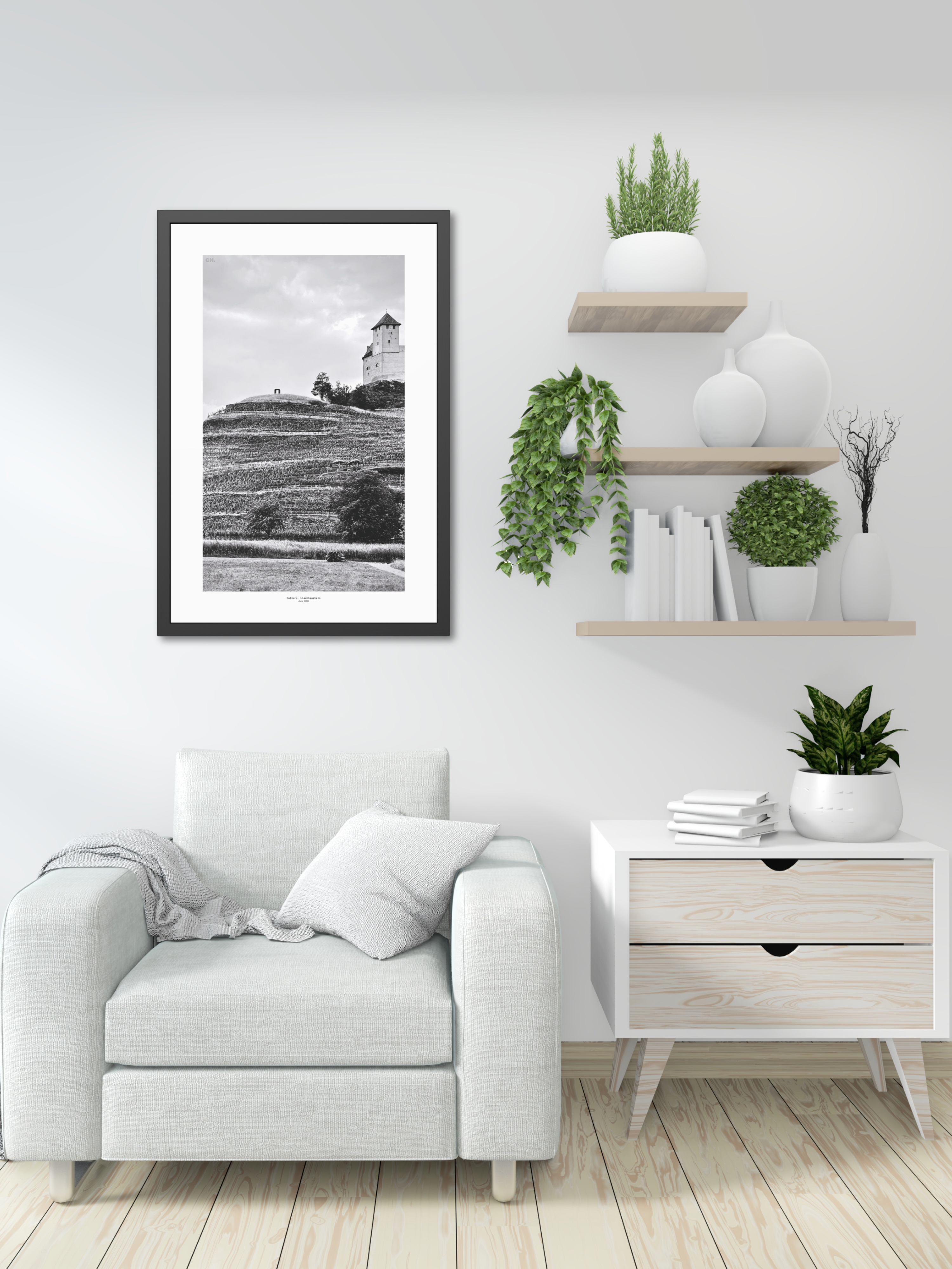 Through the Vines - Framed Fine Art Photography Print - artisCHt
