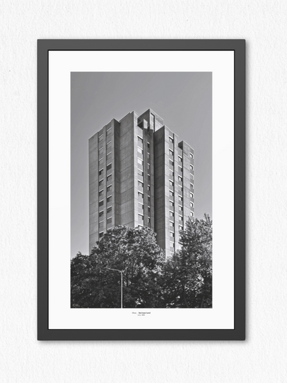 Vertical Silence - Framed Fine Art Photography Print - artisCHt