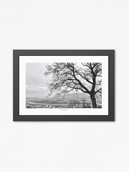 Winter_Veins - Framed Fine Art Photography Print - artisCHt