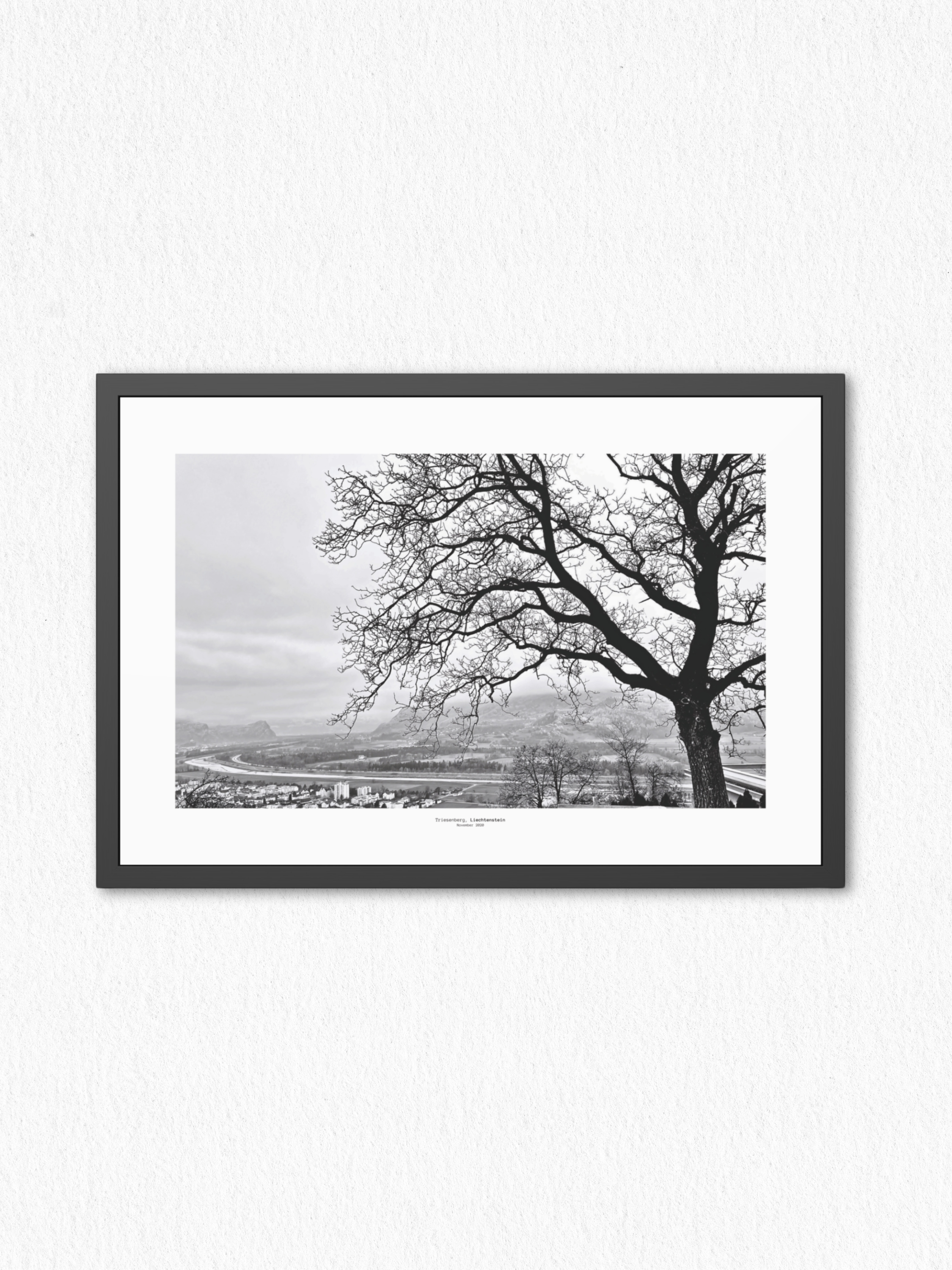 Winter_Veins - Framed Fine Art Photography Print - artisCHt