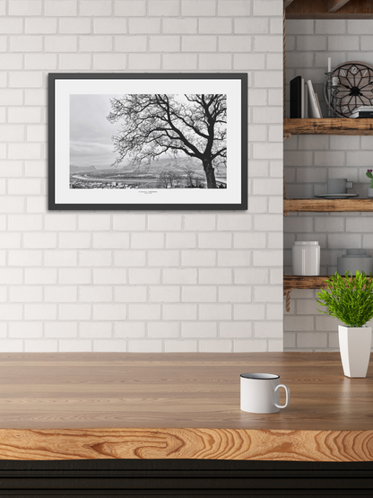 Winter_Veins - Framed Fine Art Photography Print - artisCHt