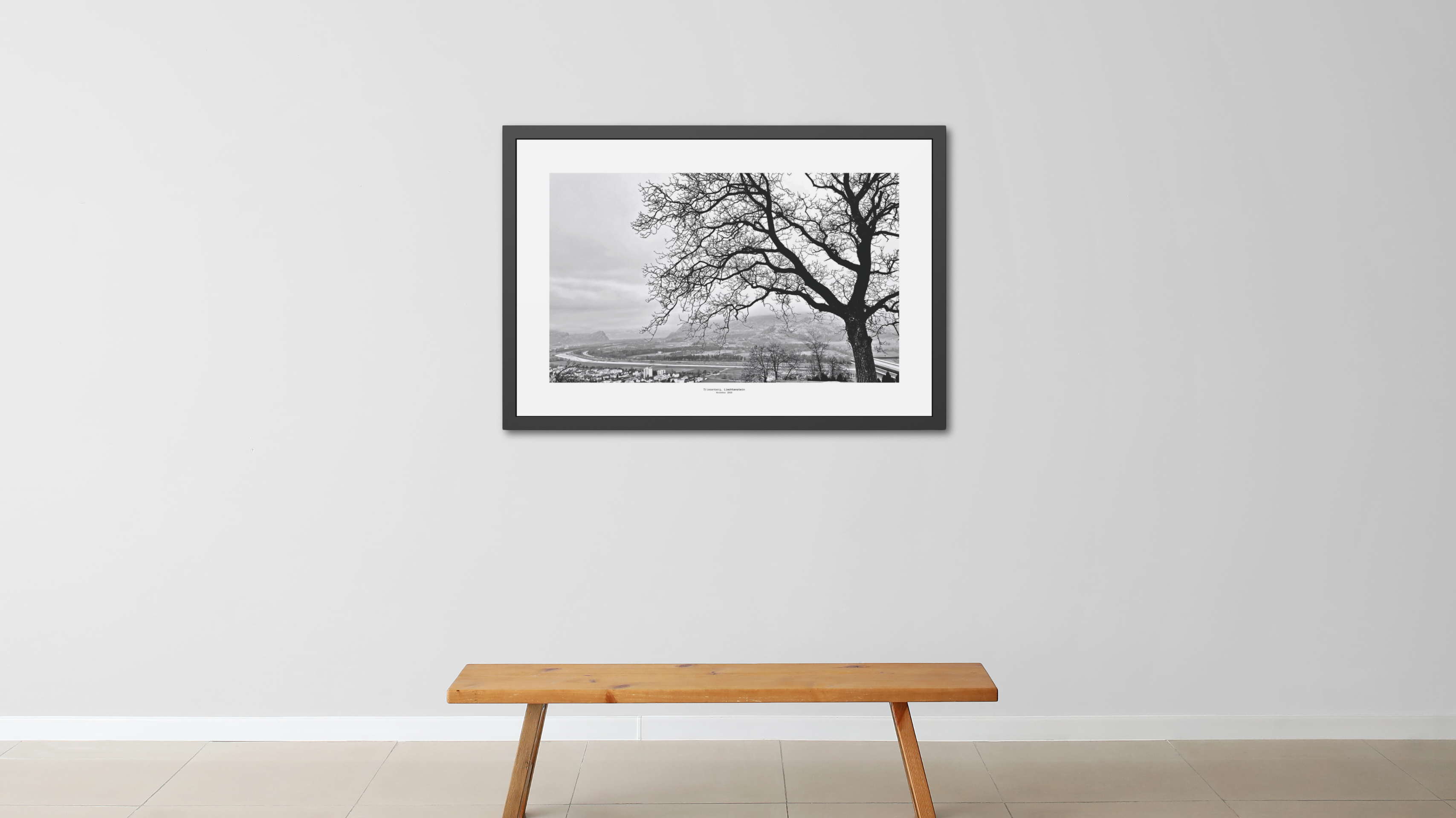 Winter_Veins - Framed Fine Art Photography Print - artisCHt